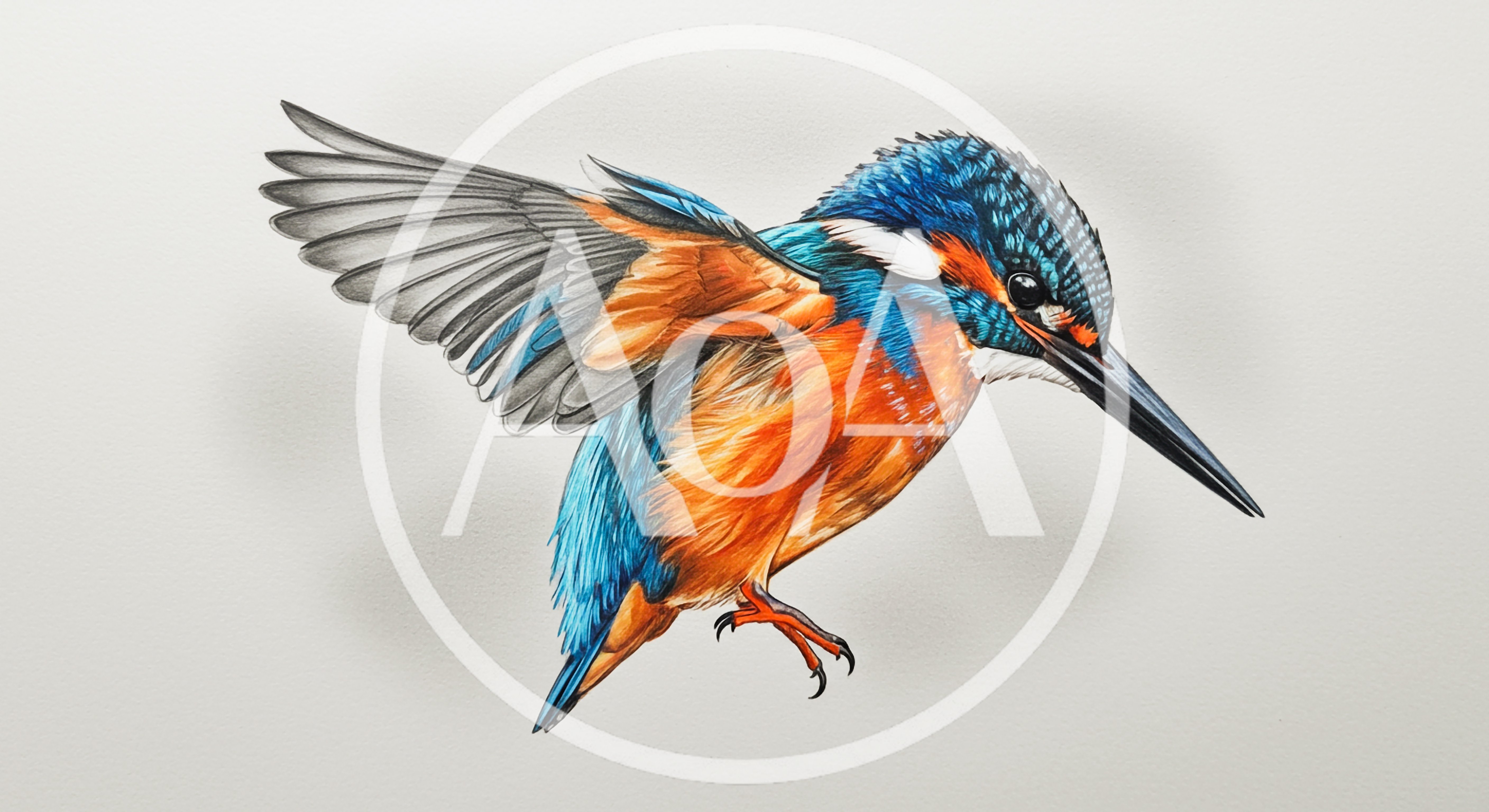 Detailed Colored Pencil Drawing Of A Flying Kingfisher