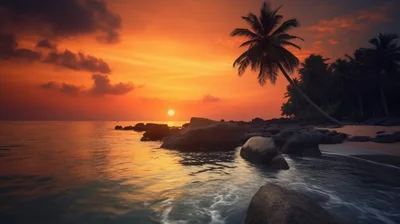 Tropical Beach Sunset With Palm Trees And Rocks