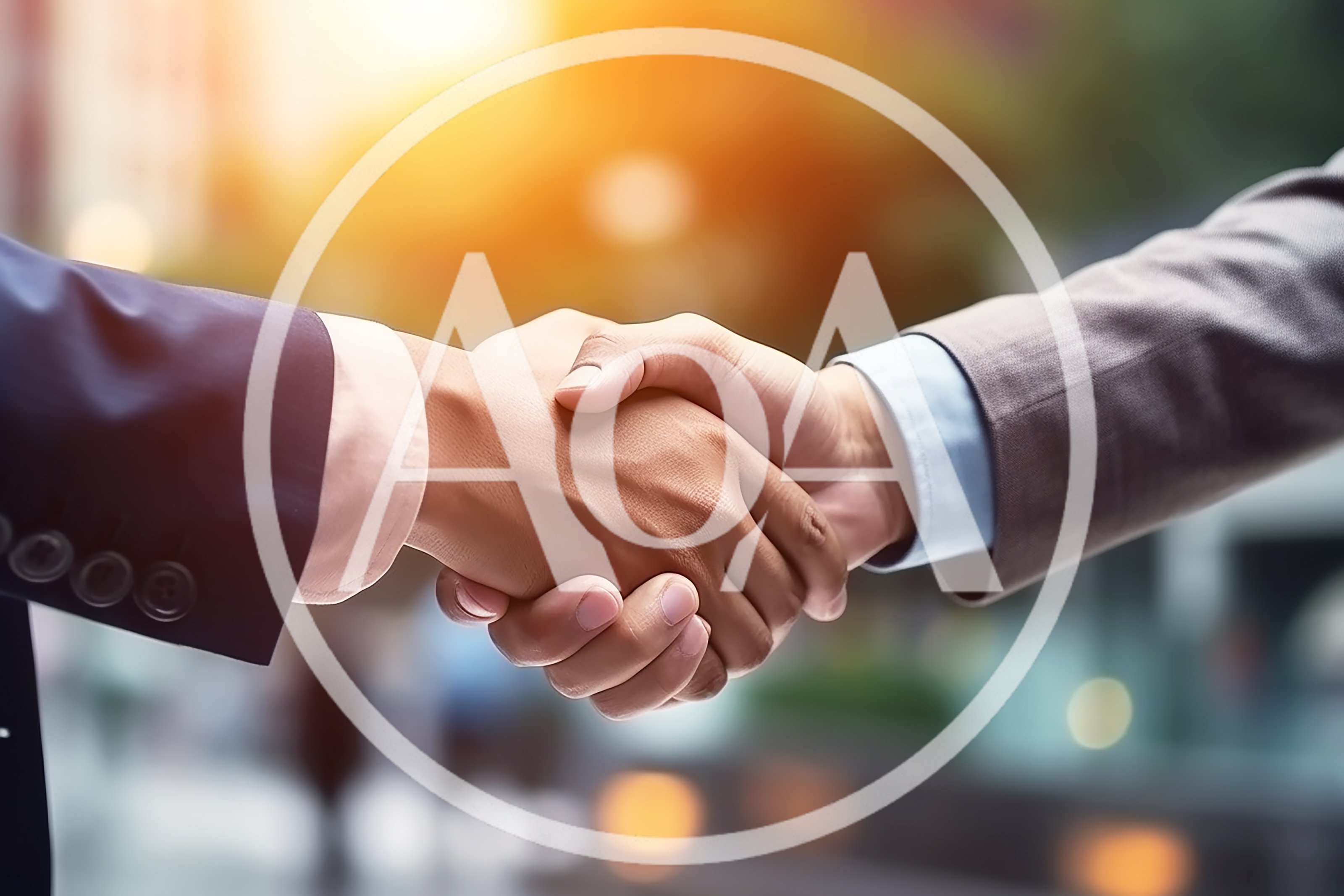 Professional Business Handshake Between Two Executives