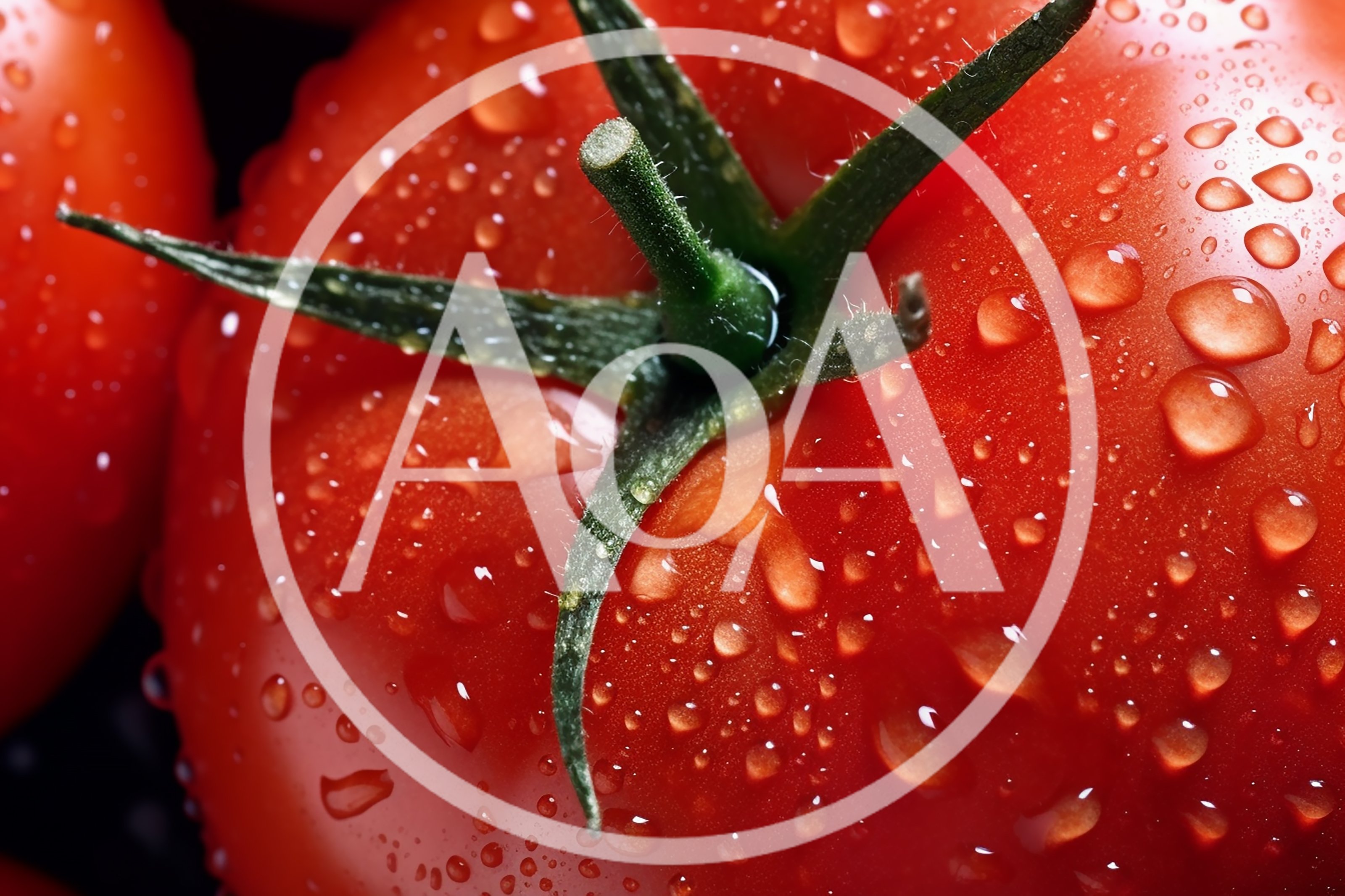 Fresh Red Tomato With Water Droplets