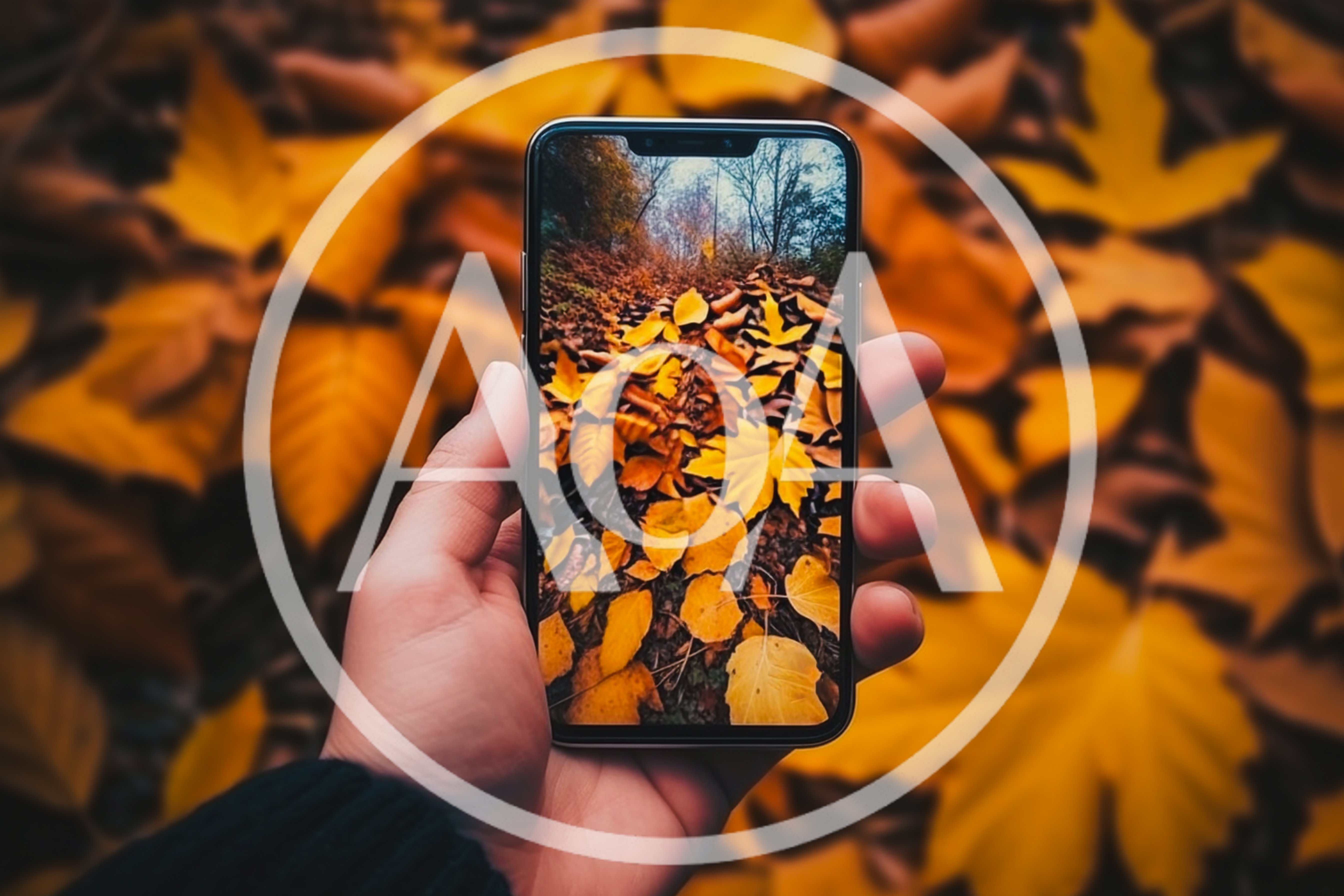 Hand Holding Smartphone Displaying Autumn Forest Leaves