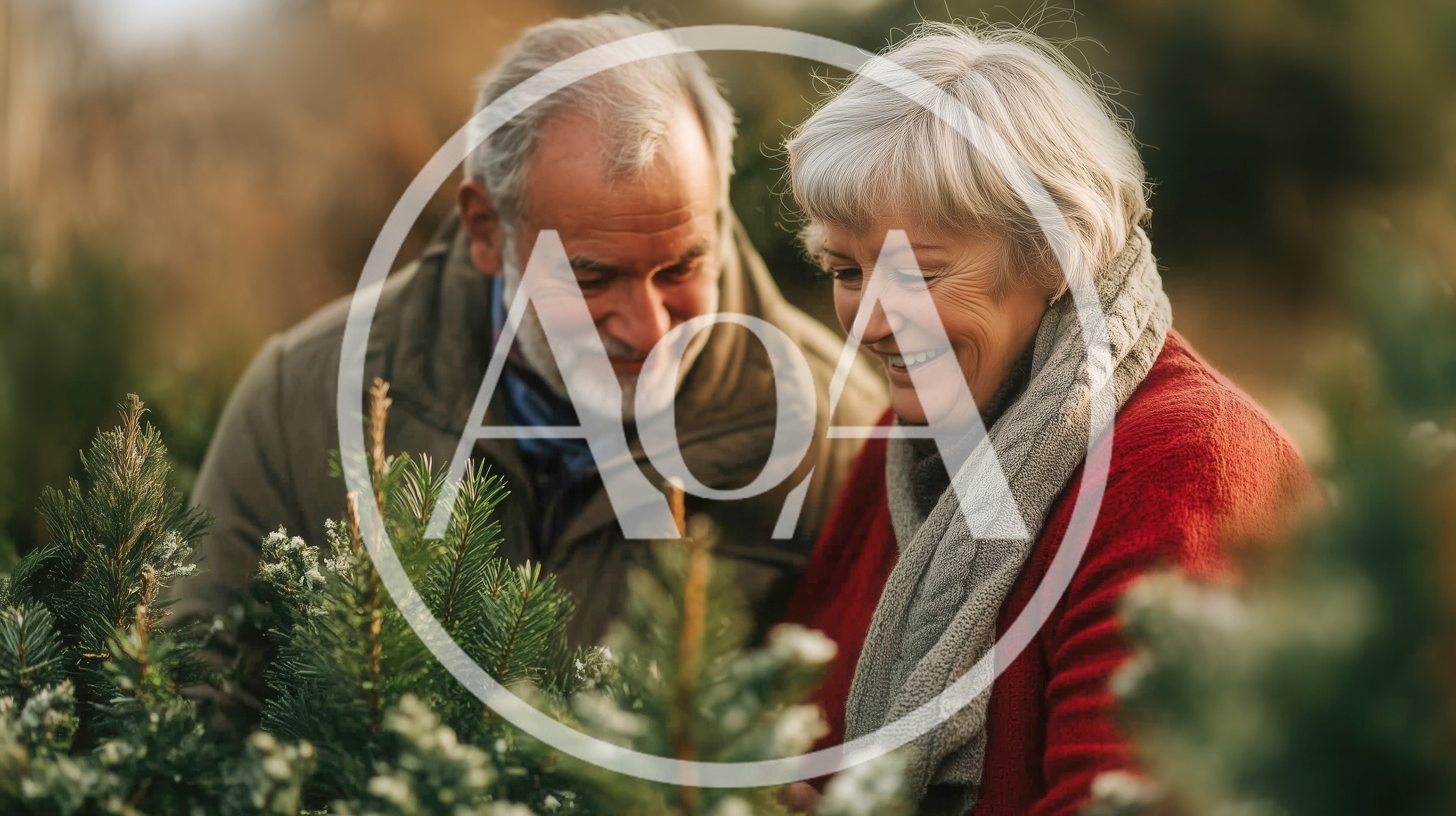 Senior Couple Choosing A Christmas Tree Together