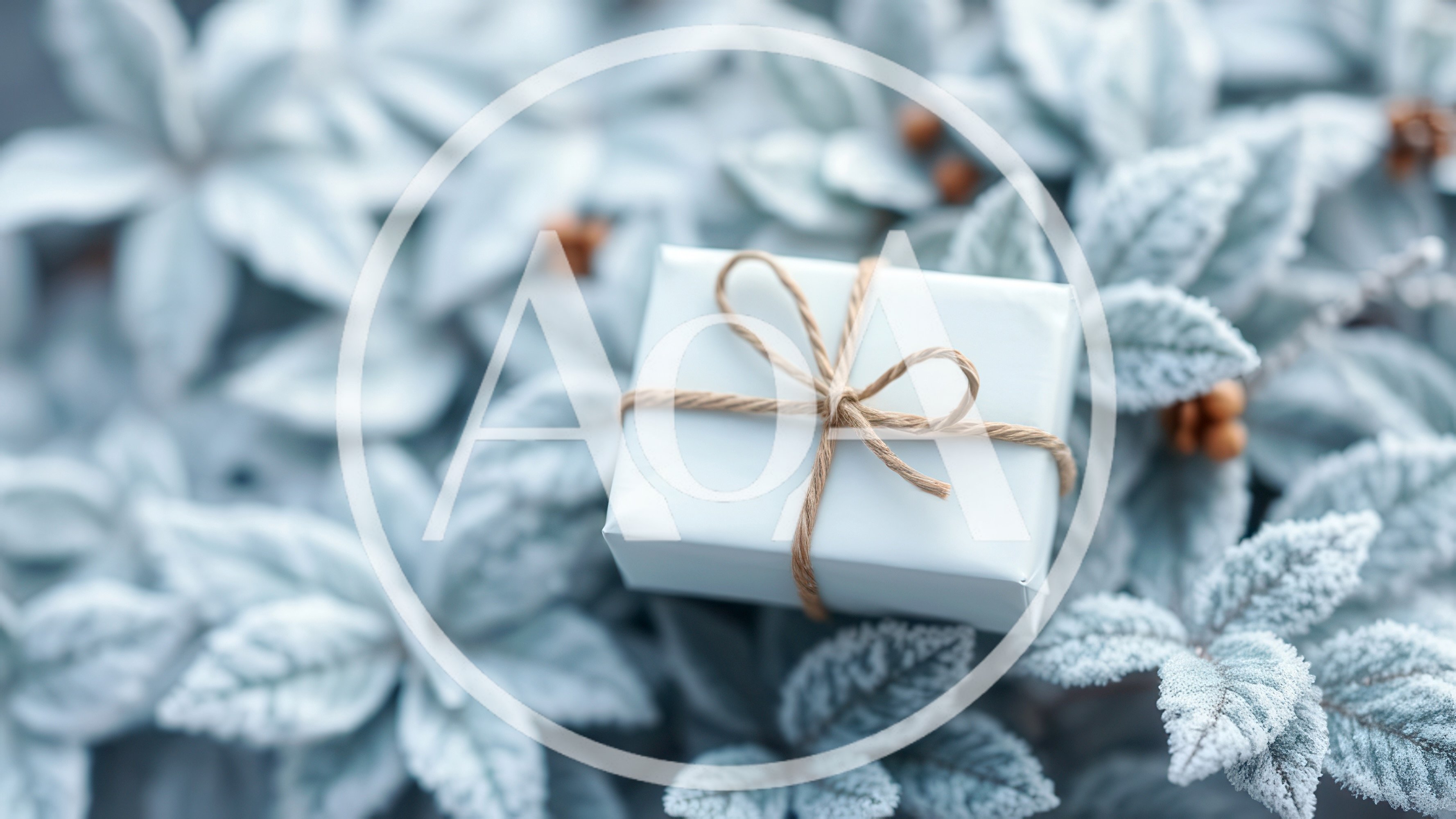 Small White Gift Box on Frosted Winter Leaves
