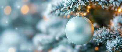 Light Blue Christmas Ornament Hanging On Snowy Pine Branch