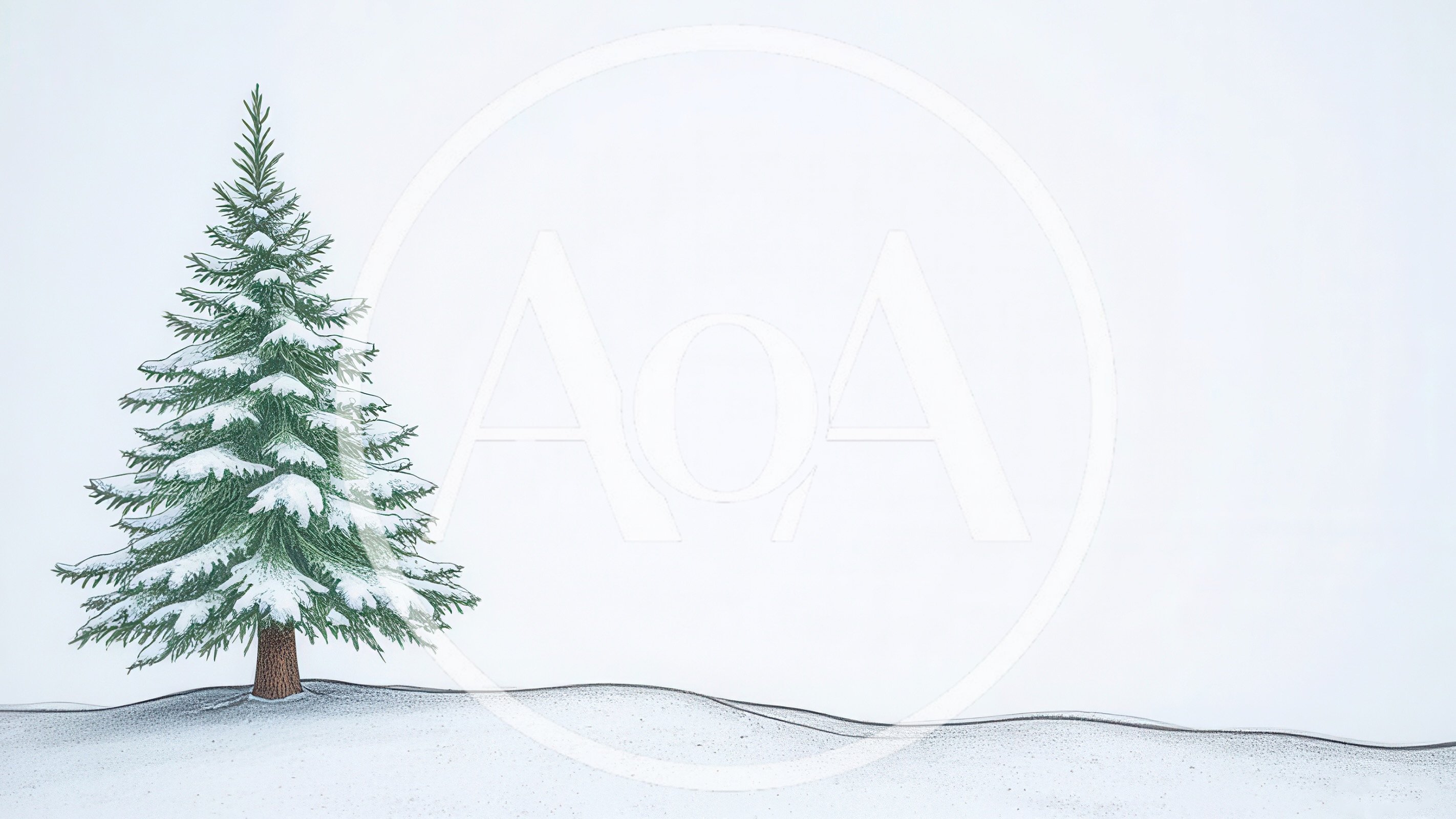Single Snowy Pine Tree On White Background