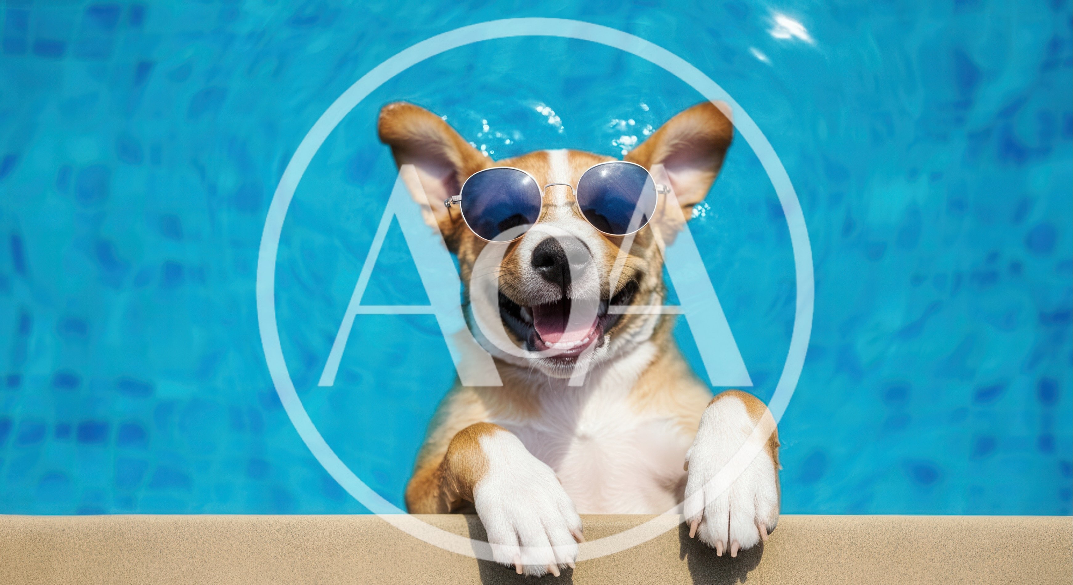 Happy Dog Wearing Sunglasses Swimming In A Pool