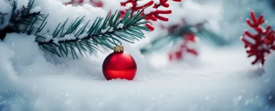 Red Christmas Ornament Hanging on Snowy Pine Branch