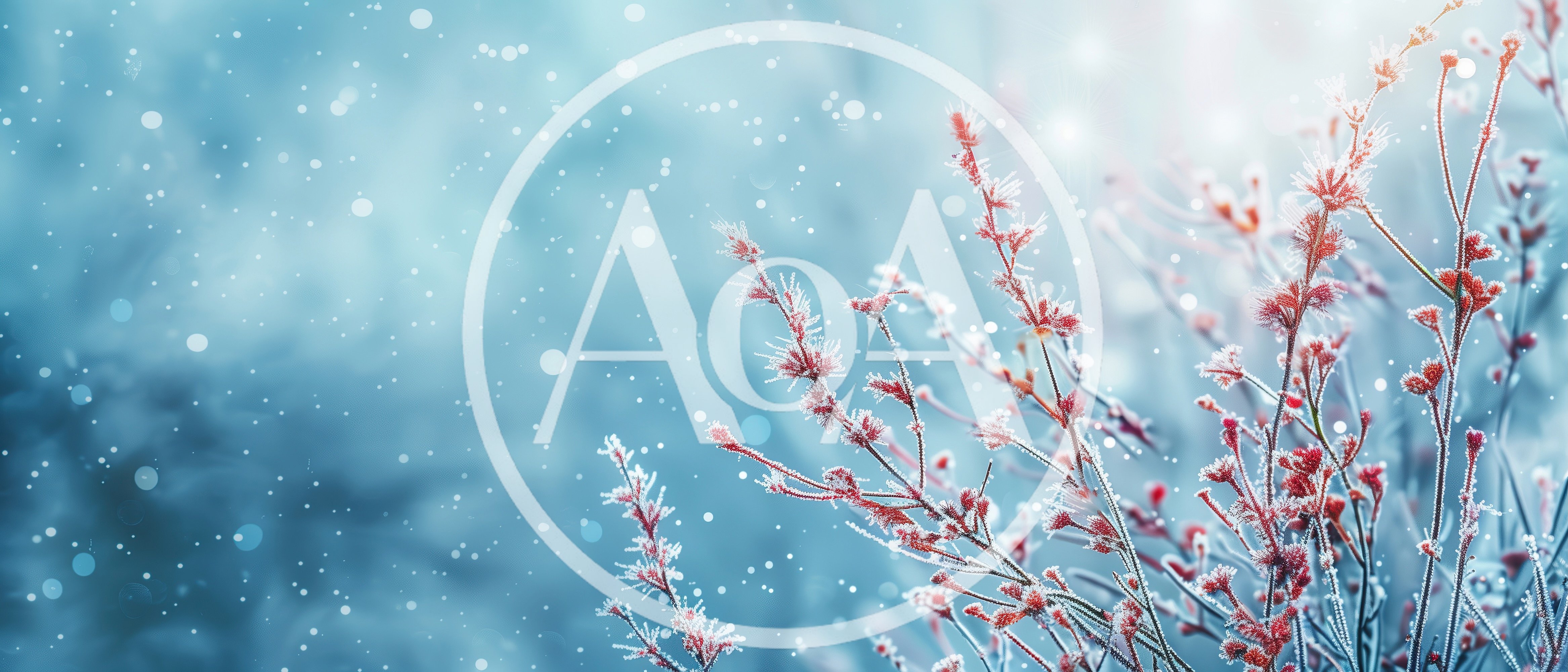 Frost Covered Red Branches In Winter Landscape