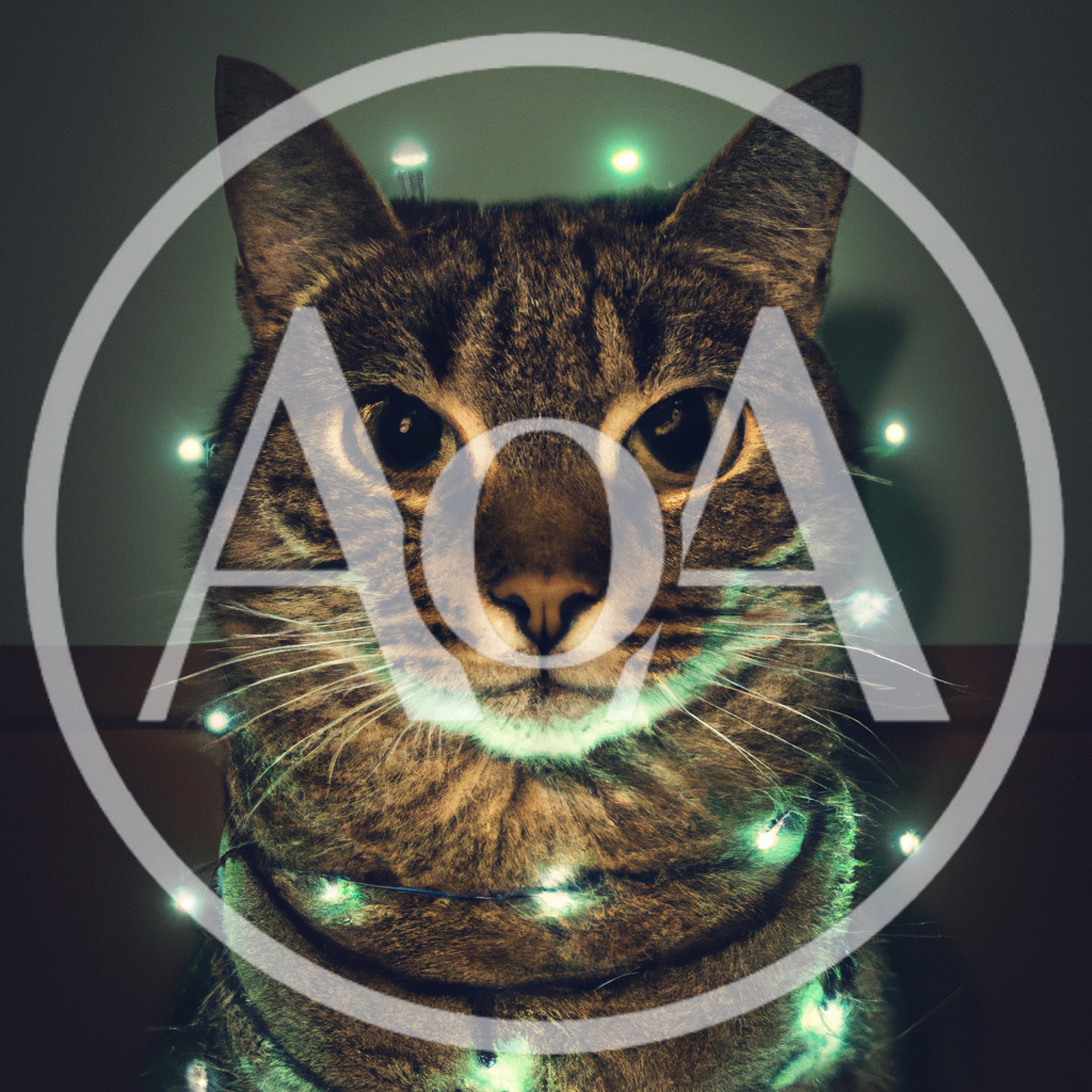 Tabby Cat Wrapped In Glowing Green Fairy Lights