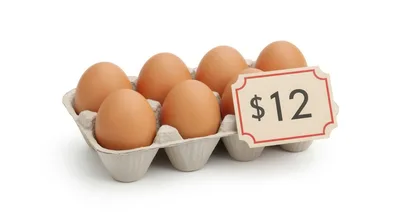 Six Brown Eggs In A Carton With Price Tag
