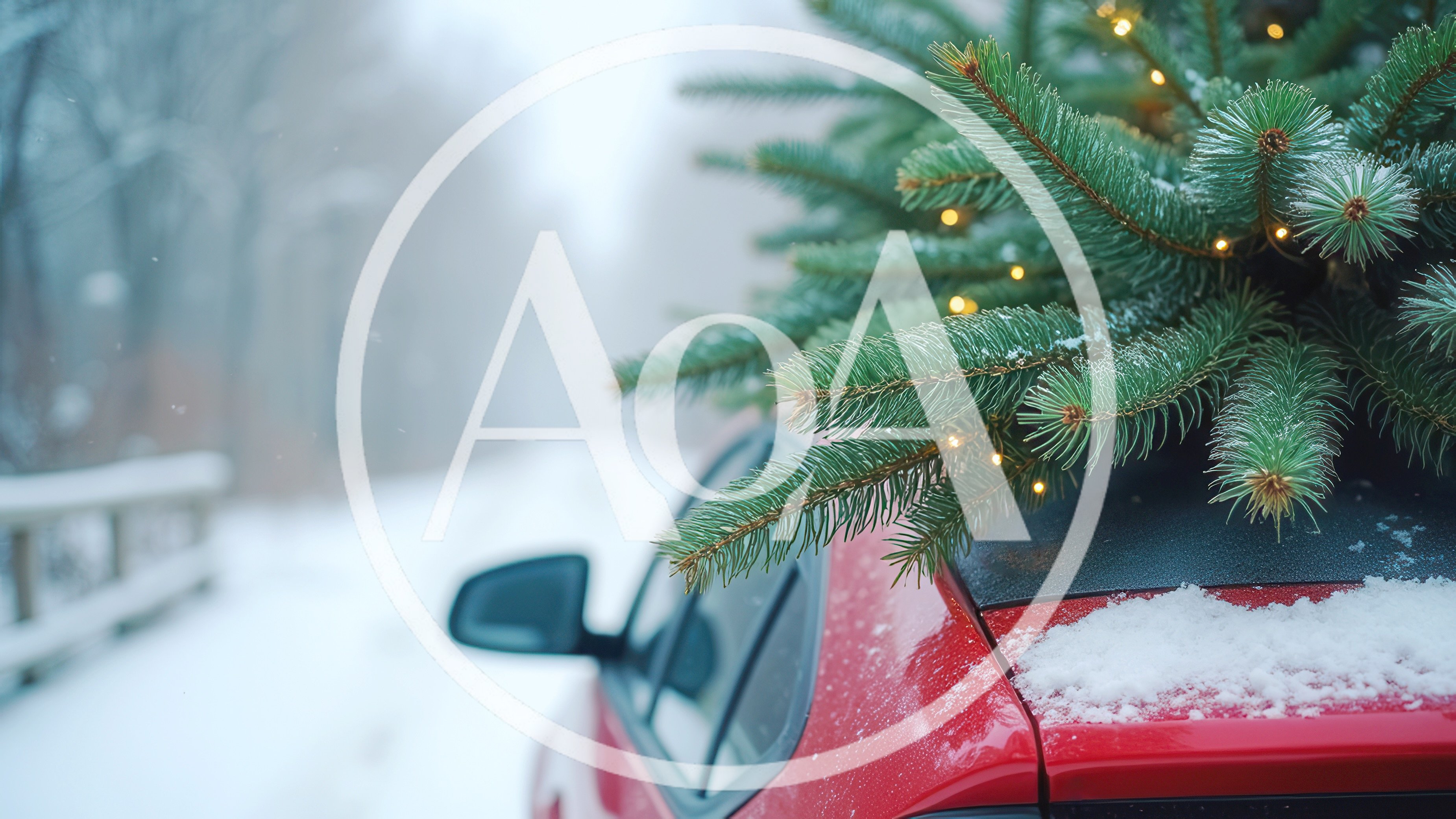 Christmas Tree Secured On Red Car Roof In Winter
