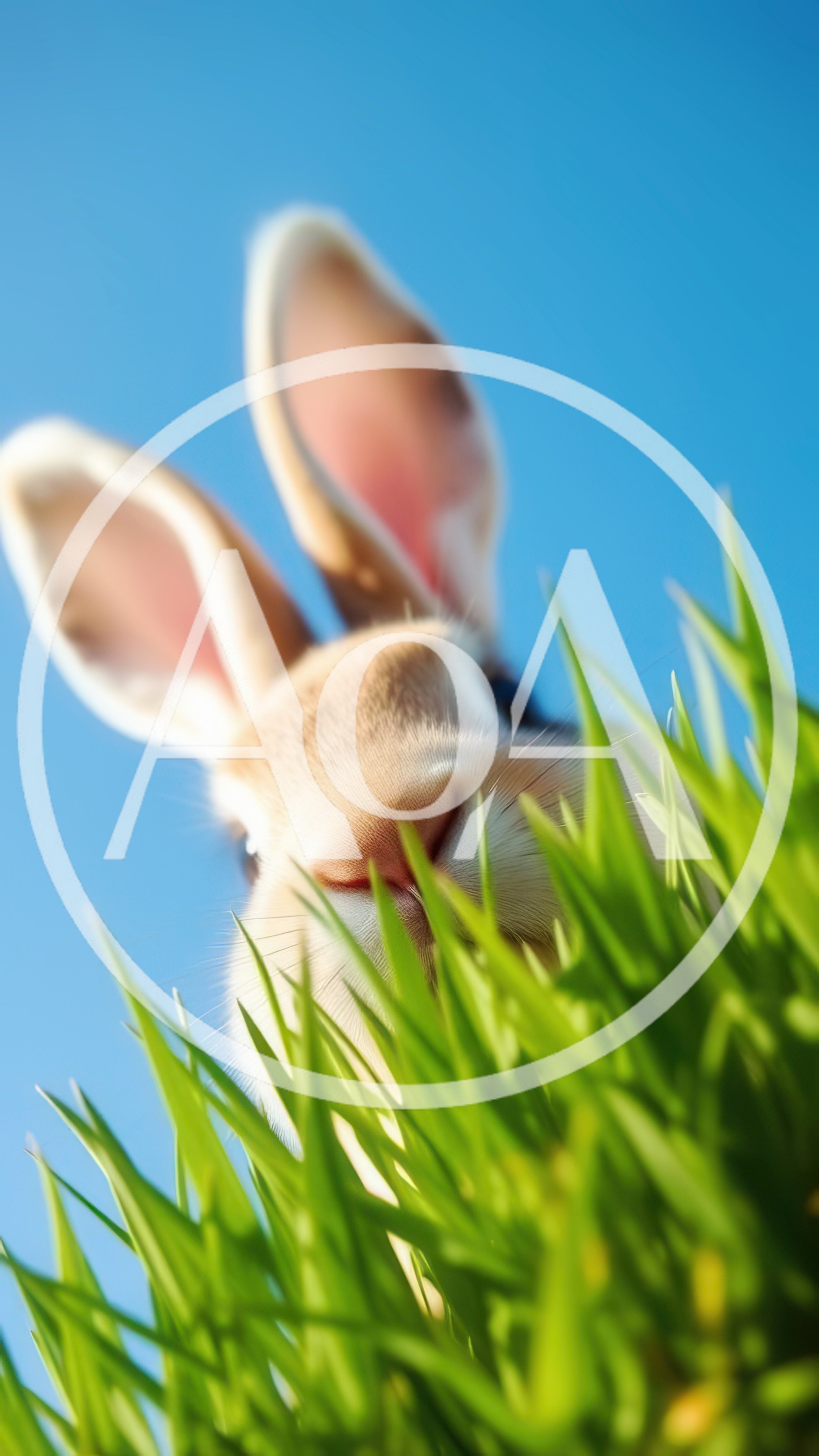 Close Up Of A Rabbit Peeking Through Green Grass