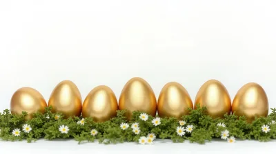 Seven Golden Easter Eggs On Green Moss With Daisies