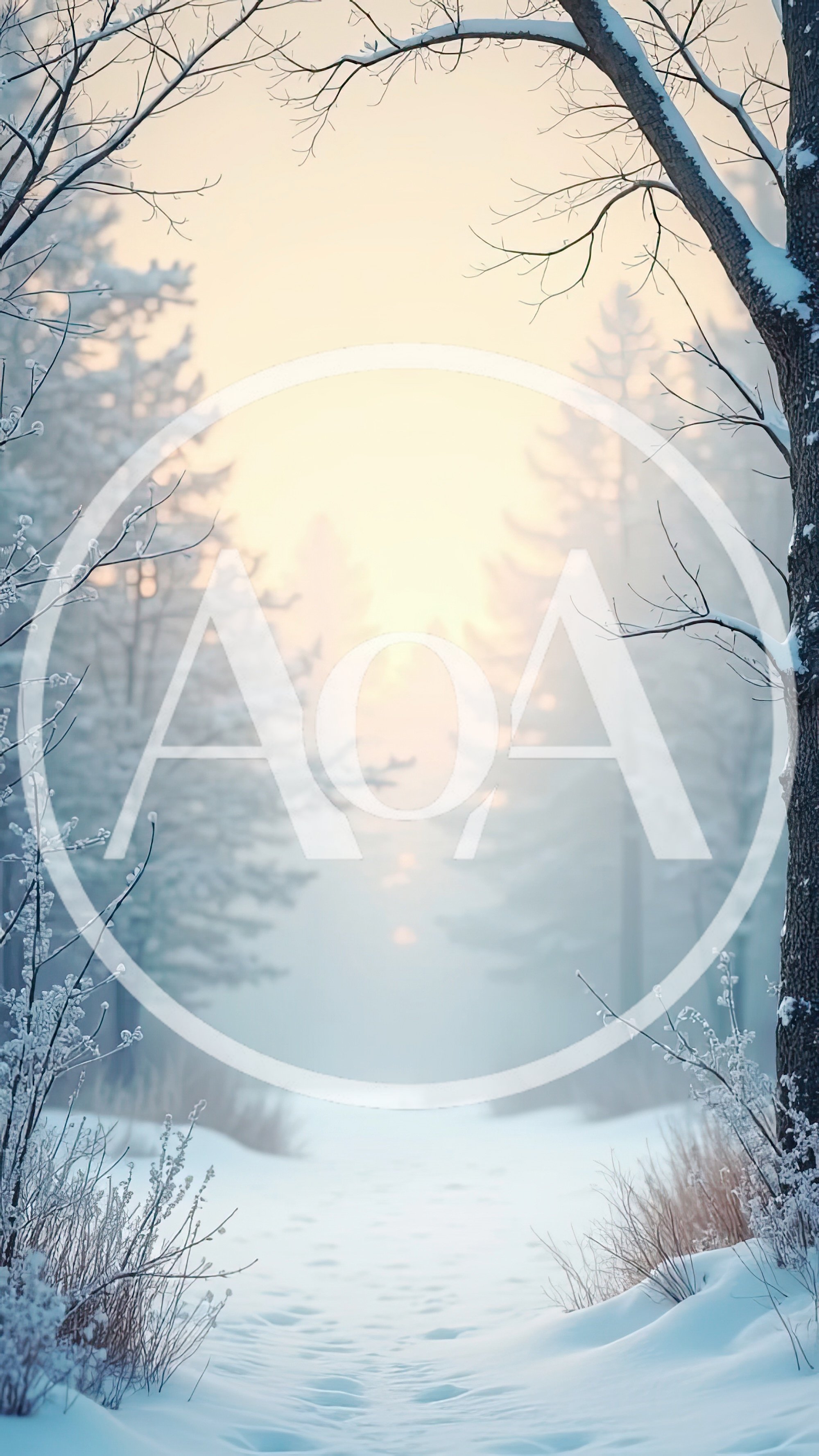 Snowy Forest Path At Sunrise