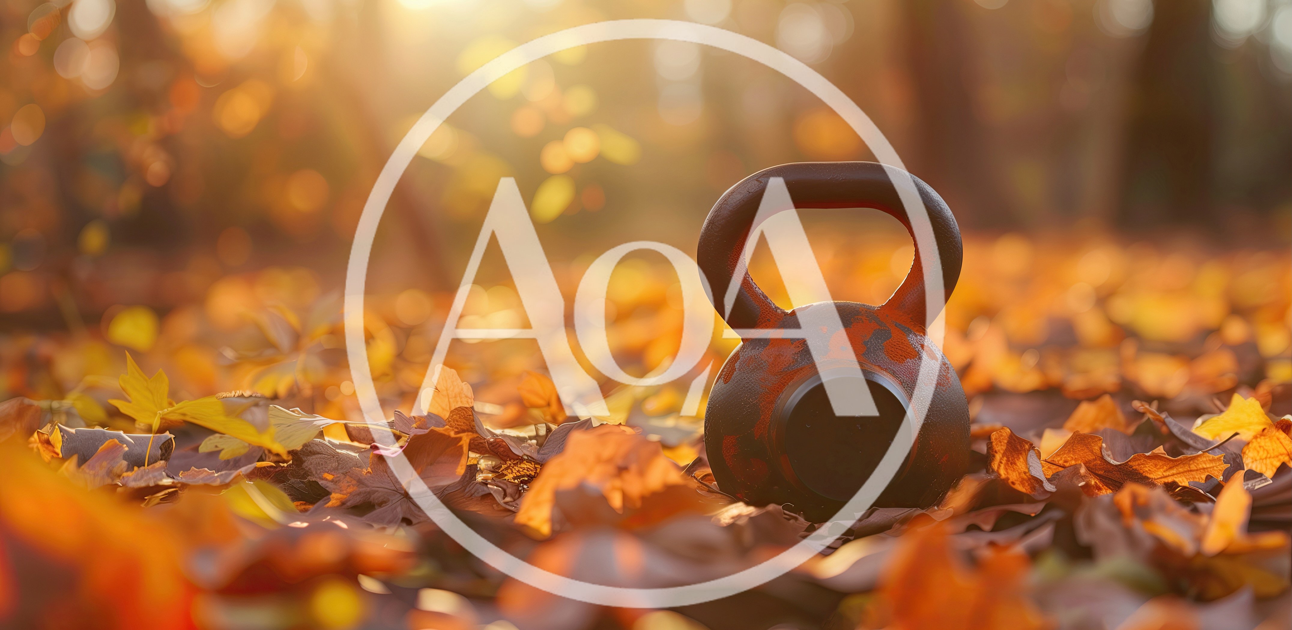 Black Kettlebell Resting On Autumn Leaves In Forest