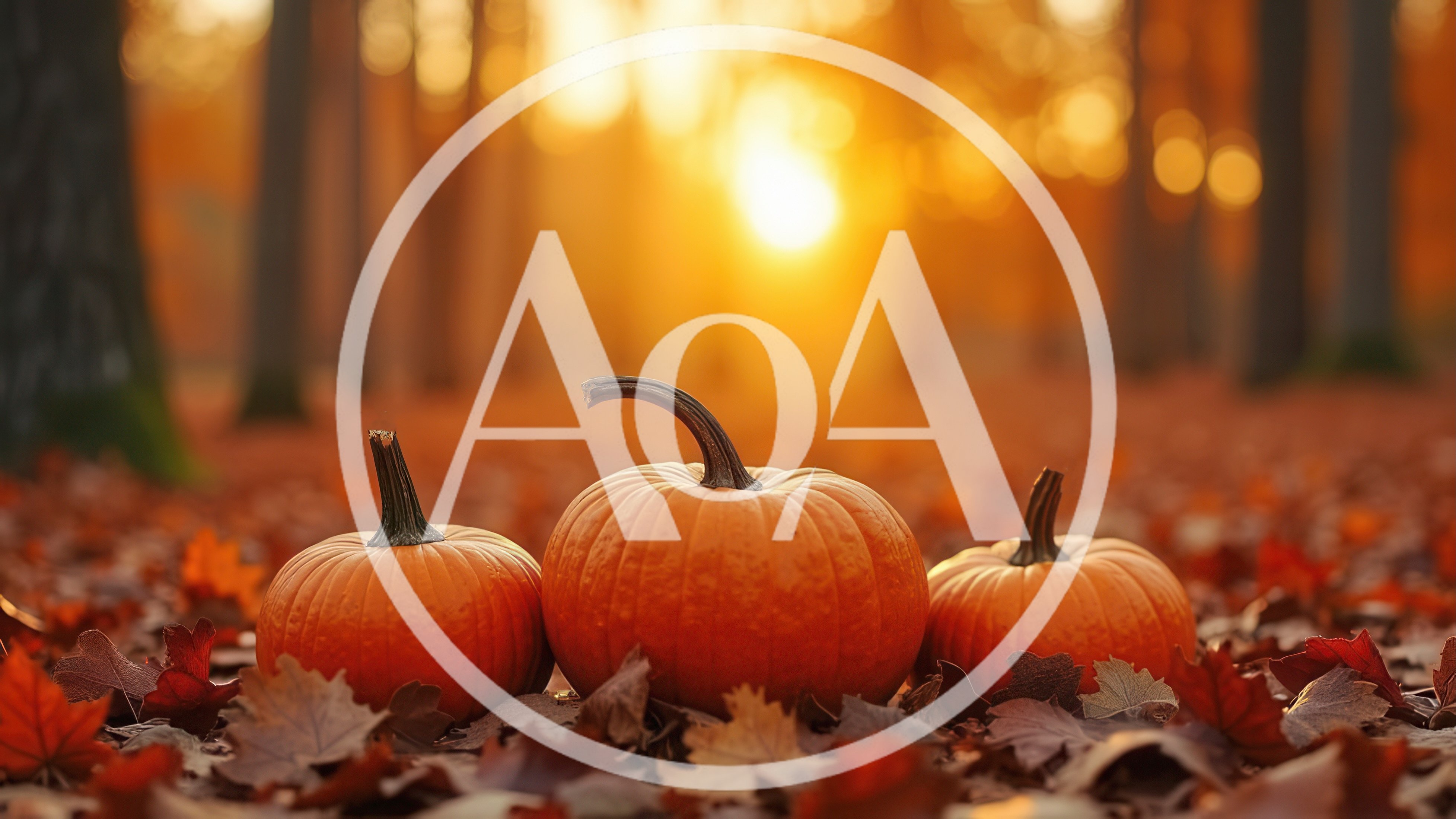 Three Pumpkins Resting On Autumn Leaves In Forest