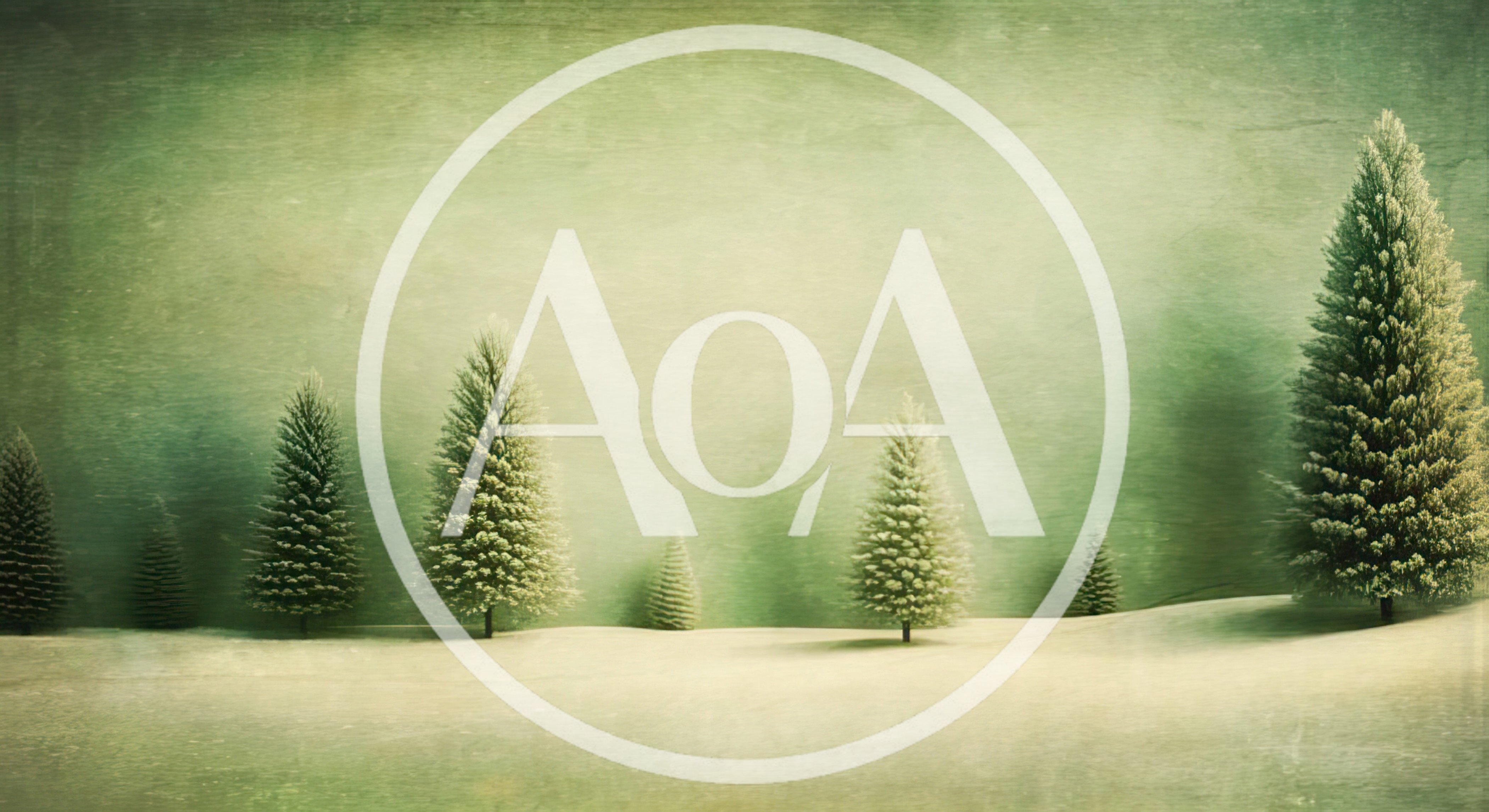 Minimalist Winter Landscape With Evergreen Trees