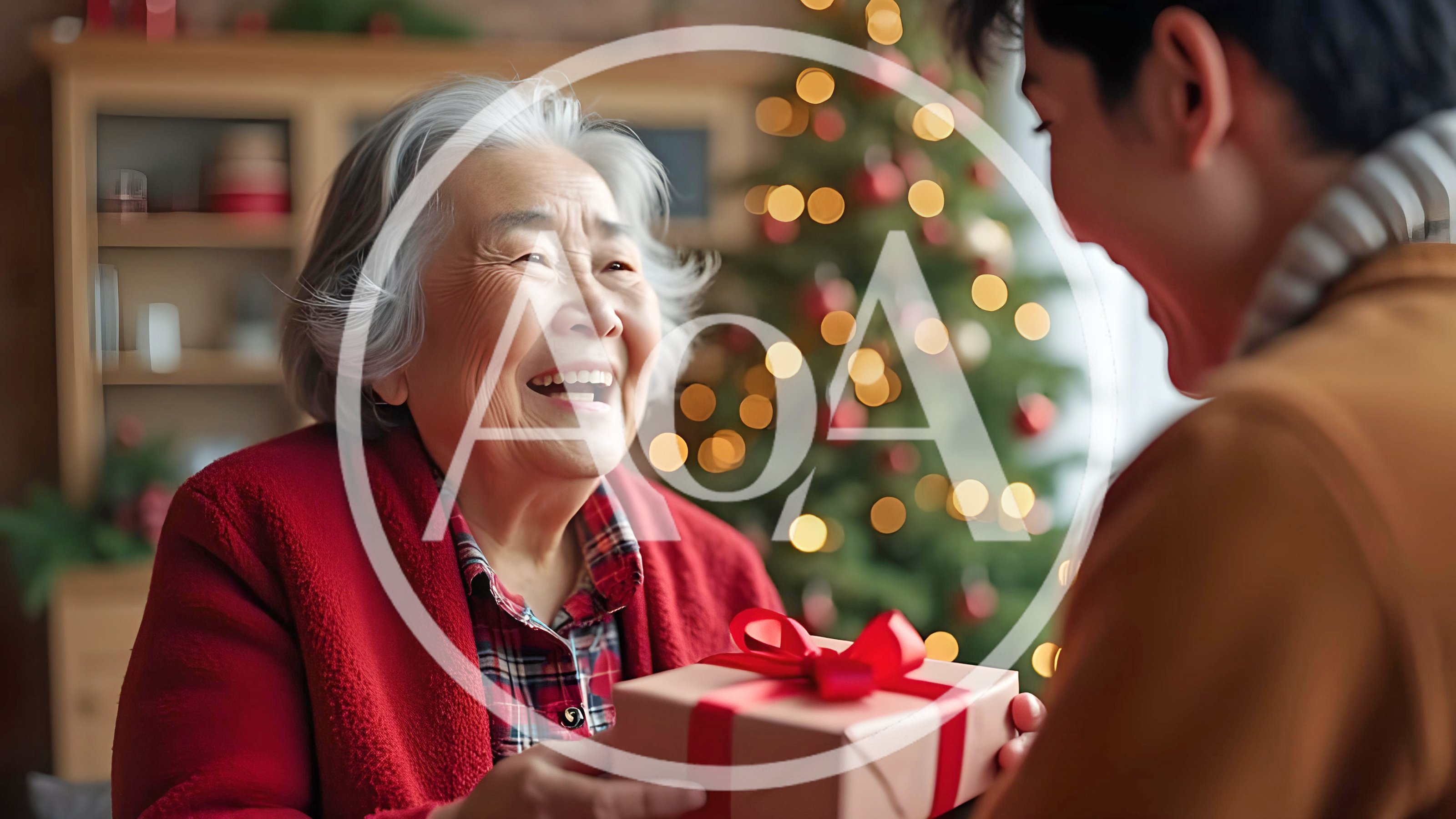 Grandson Giving Christmas Gift To Grandmother