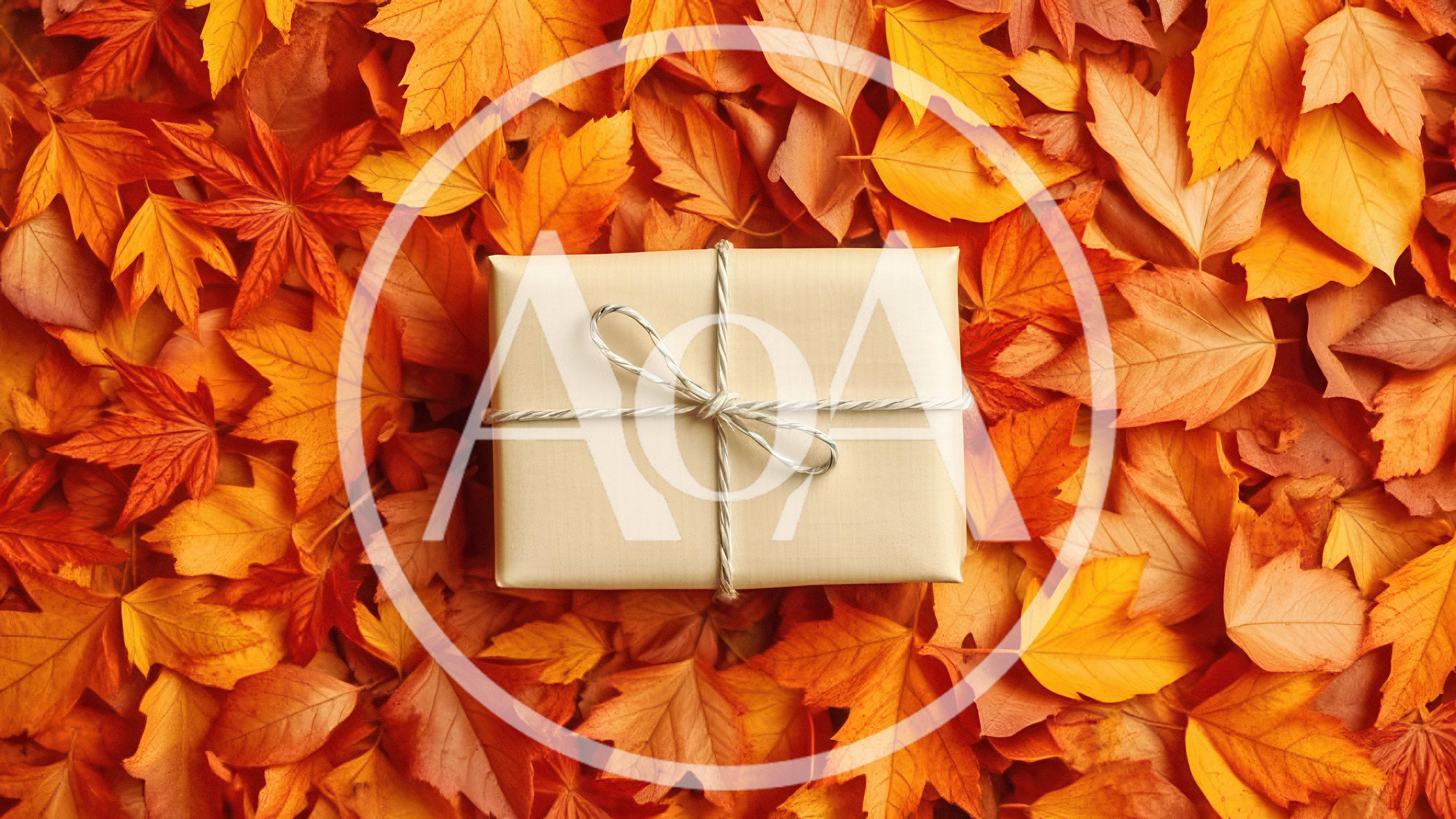 Gift Box Wrapped In Paper On Autumn Leaves
