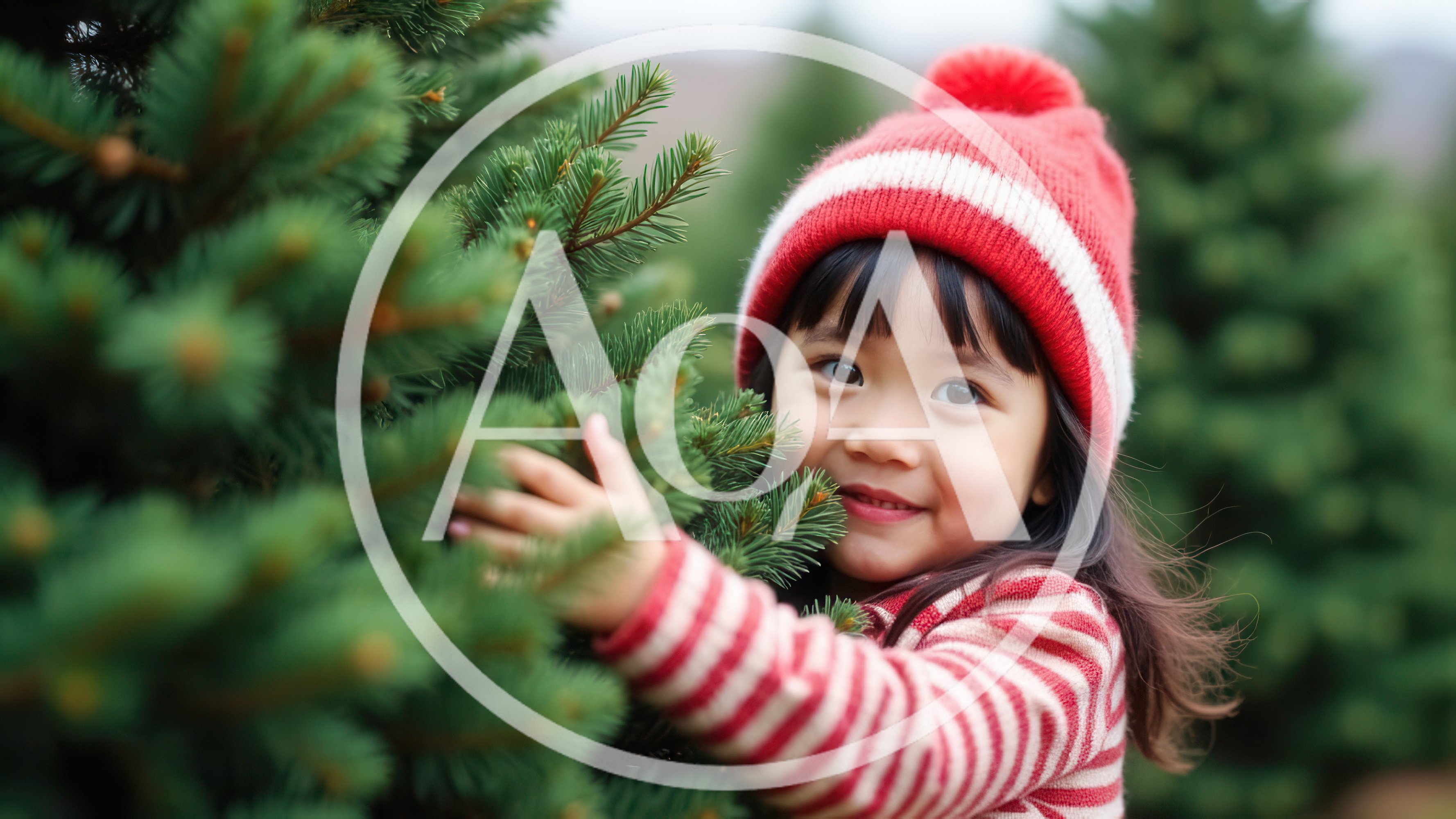 Young Asian Girl Touching Christmas Tree at Farm