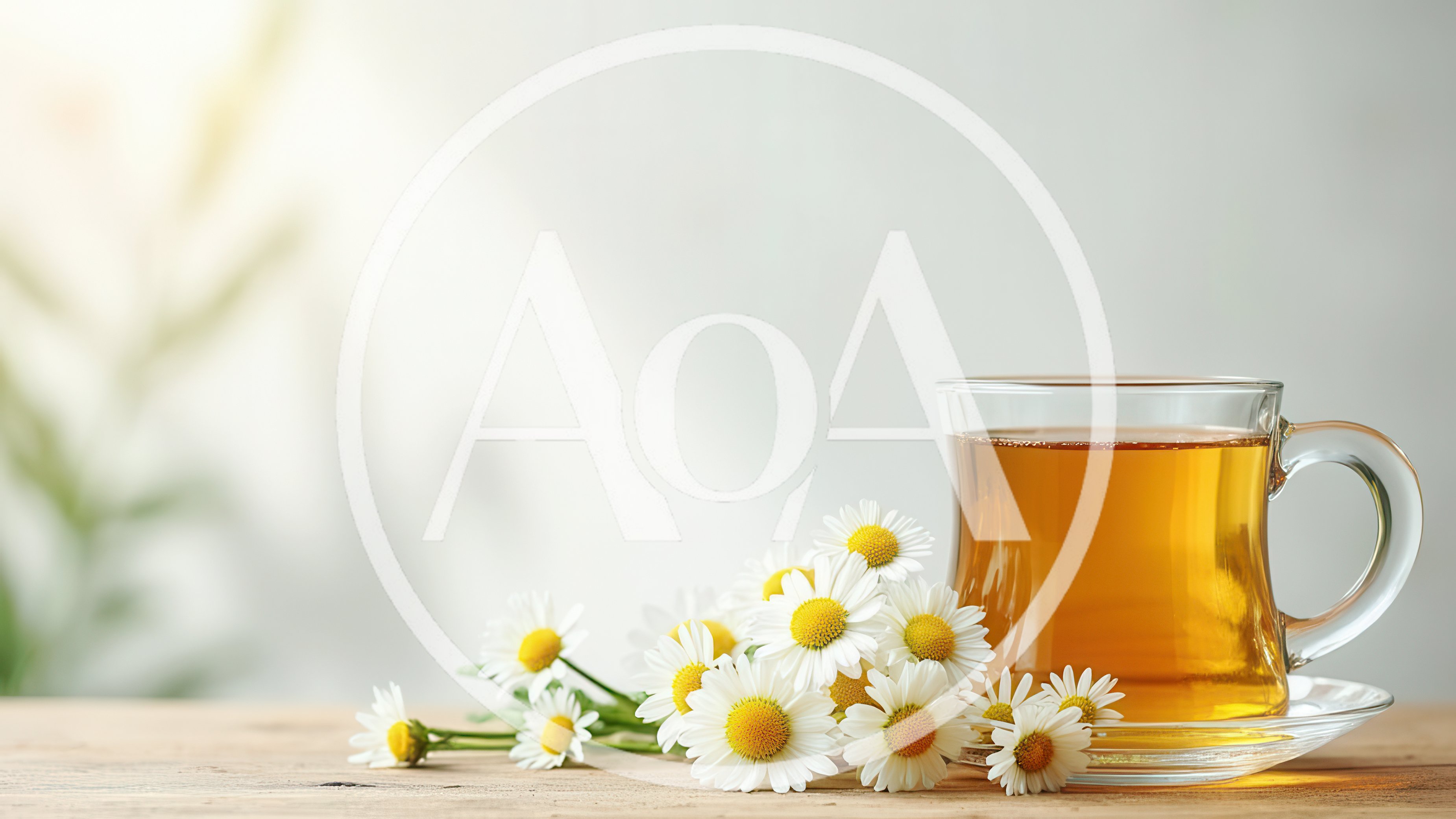 Glass Cup Of Chamomile Tea With Fresh Flowers