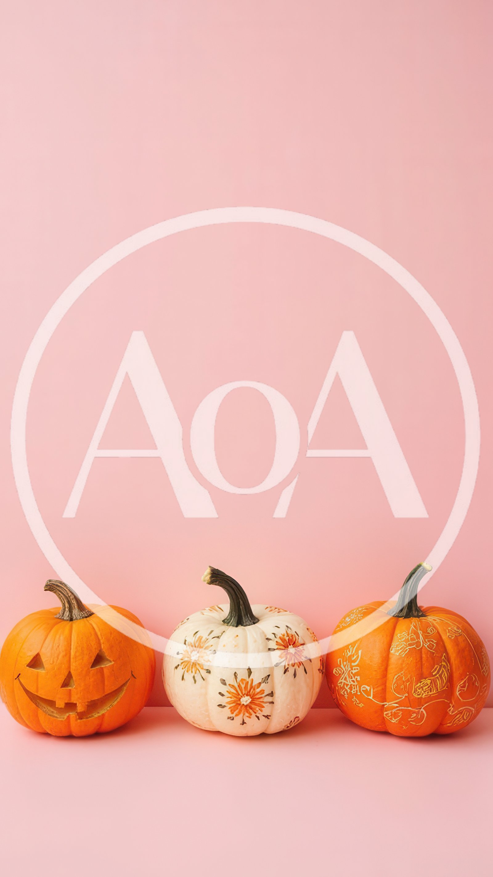 Three Decorative Pumpkins Arranged on Pink Background