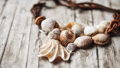 Seashell Necklace Resting On A Weathered Wooden Surface