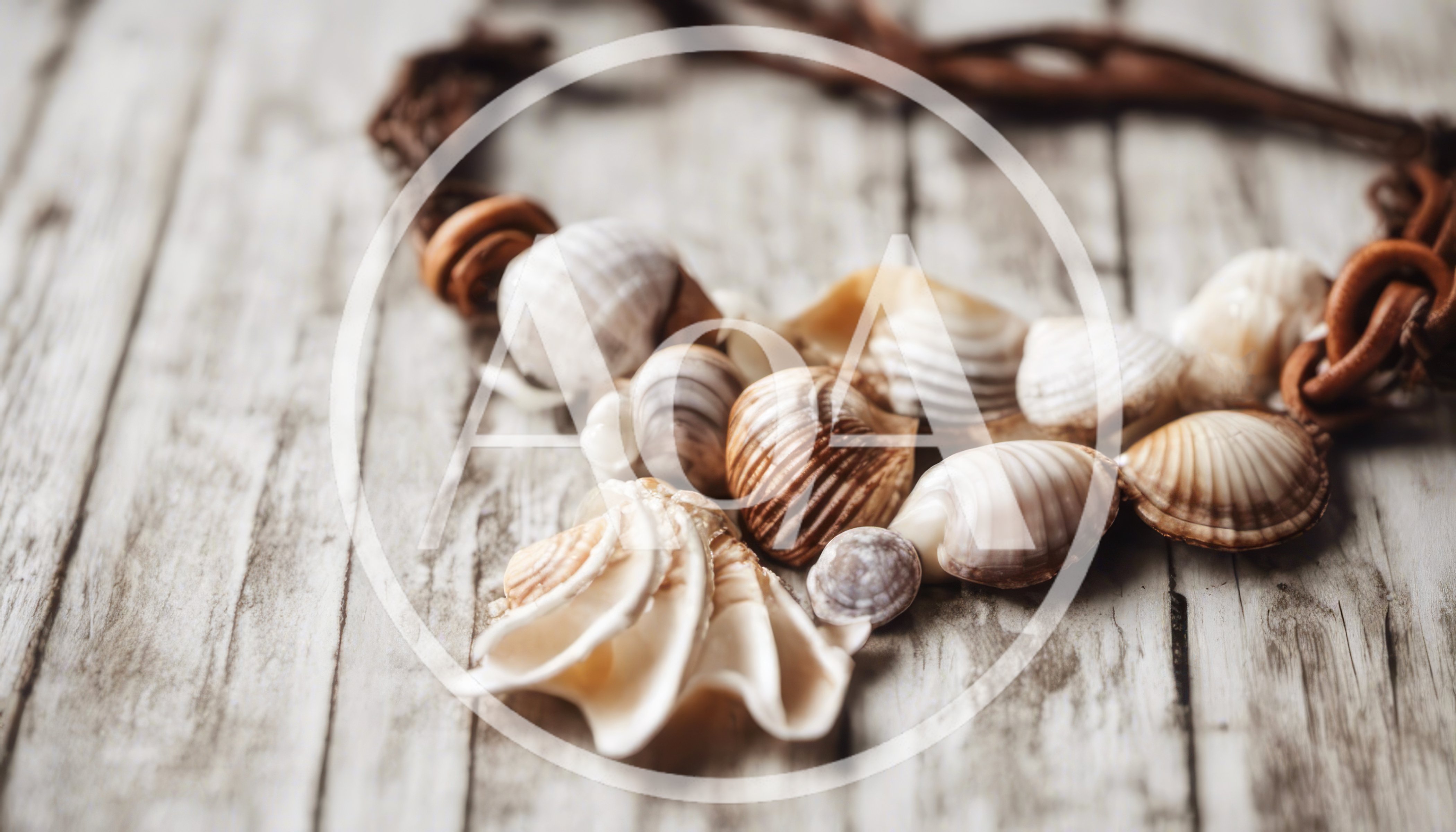 Seashell Necklace Resting On A Weathered Wooden Surface
