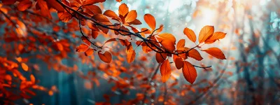 Autumn Leaves On A Branch In A Misty Forest