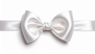 Elegant White Satin Ribbon Bow