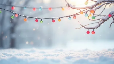Colorful Christmas String Lights Hanging On Snowy Tree Branches