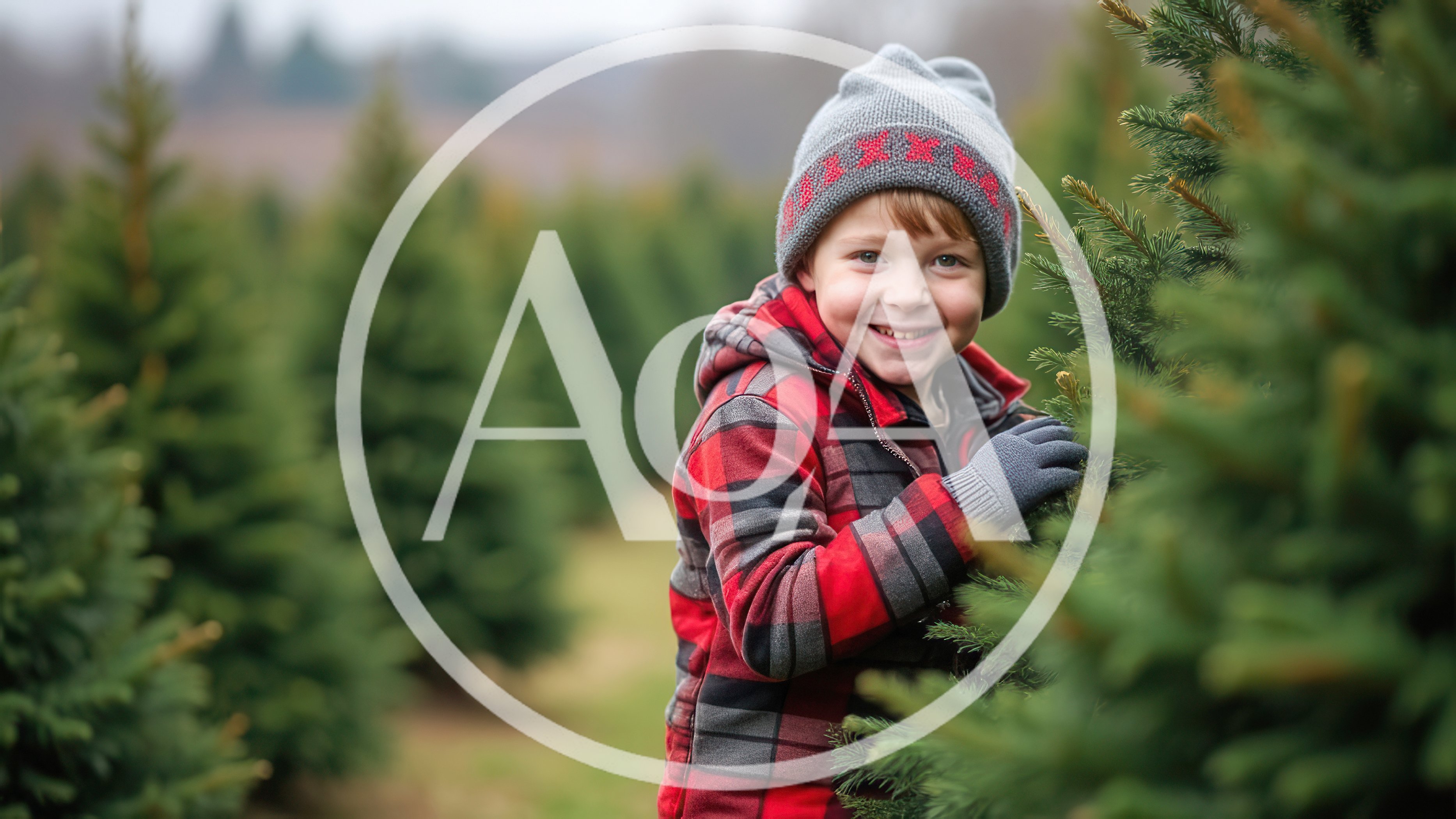 Young Boy Choosing A Christmas Tree At A Farm