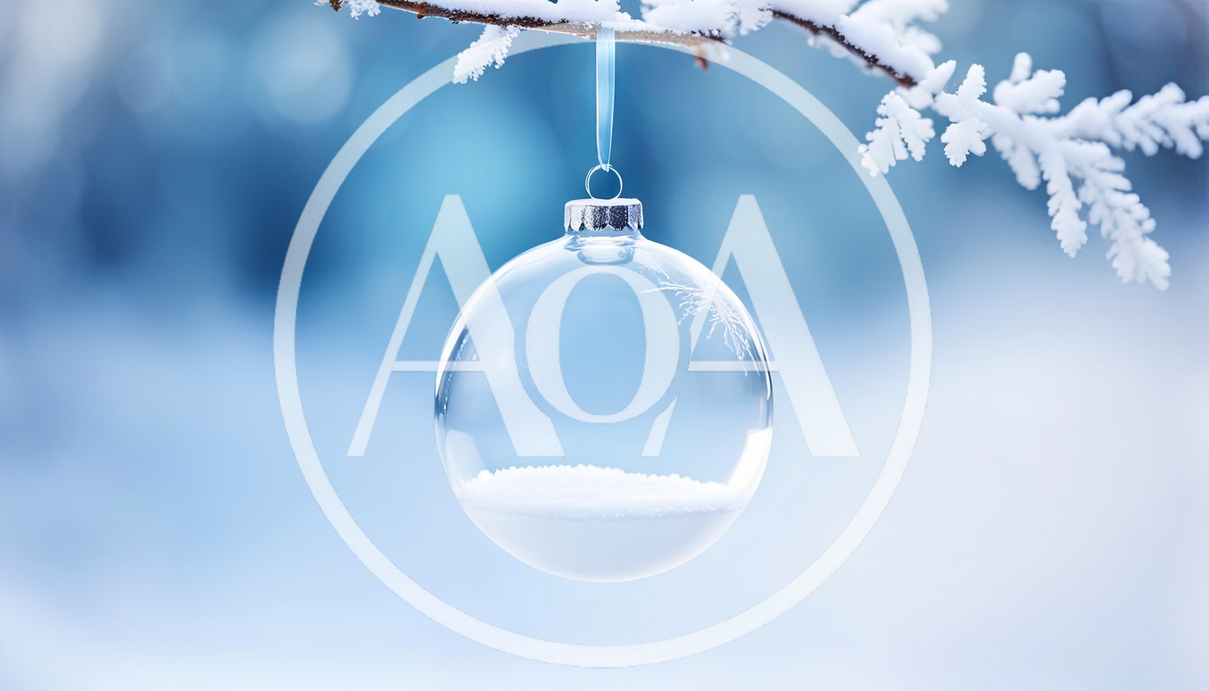 Clear Glass Christmas Ornament Hanging On Snowy Branch