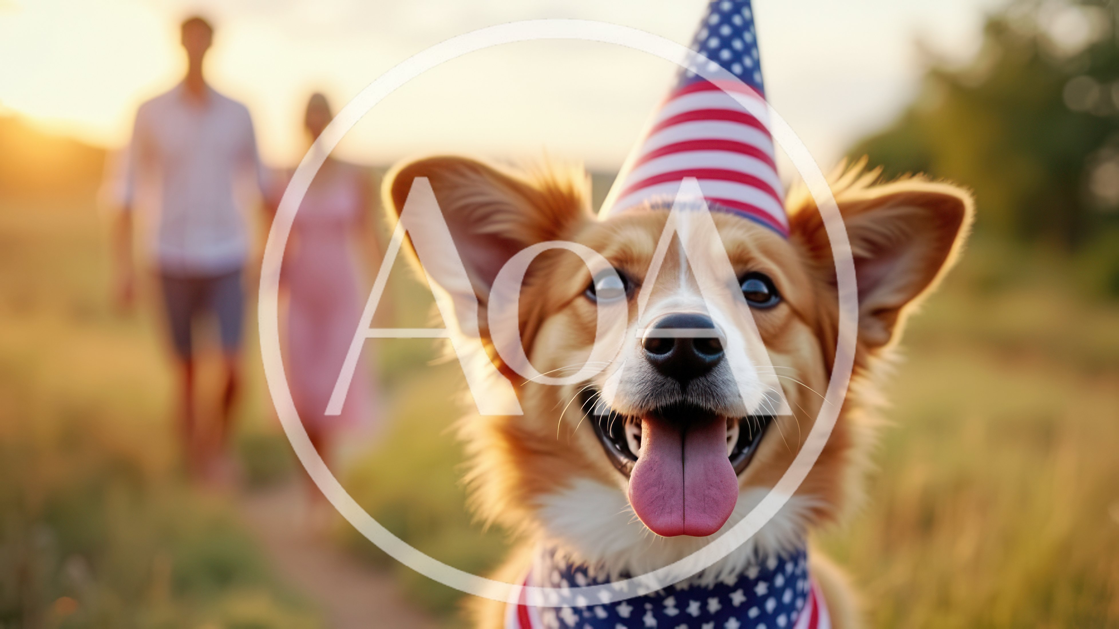 Happy Corgi Wearing American Flag Party Hat