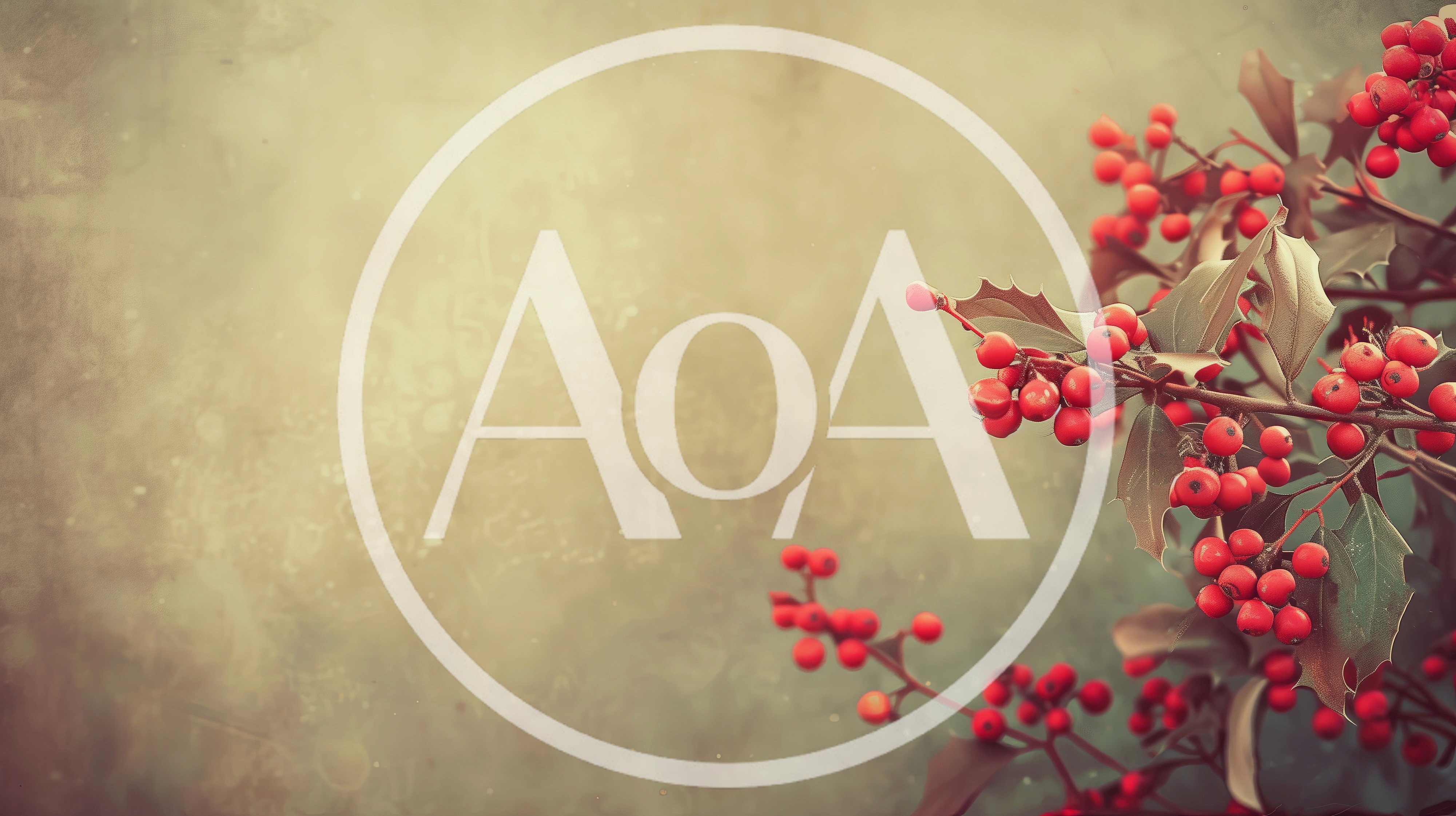 Festive Holly Berries On A Soft Blurred Background