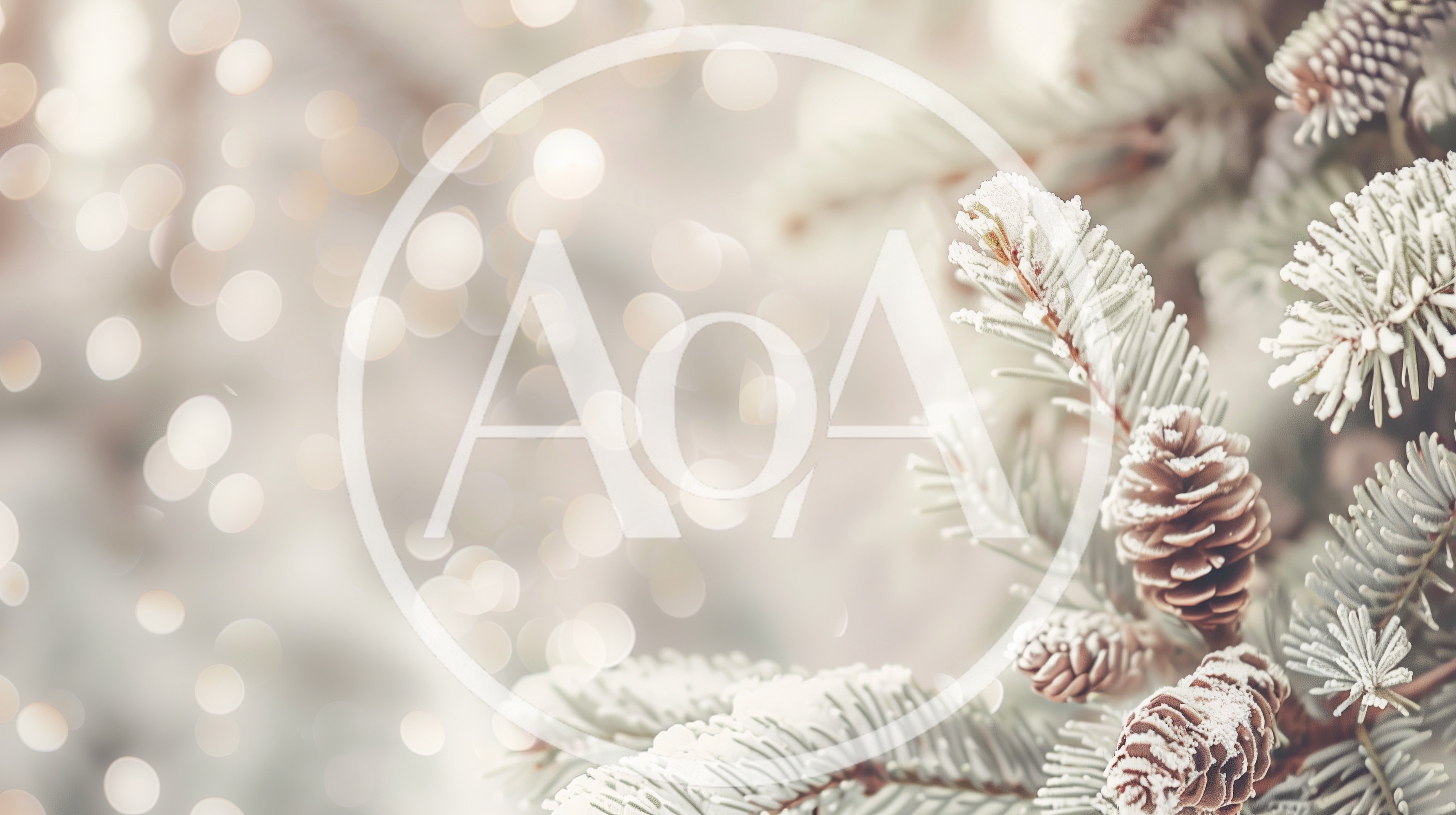 Frosted Pine Branches With Cones In Winter
