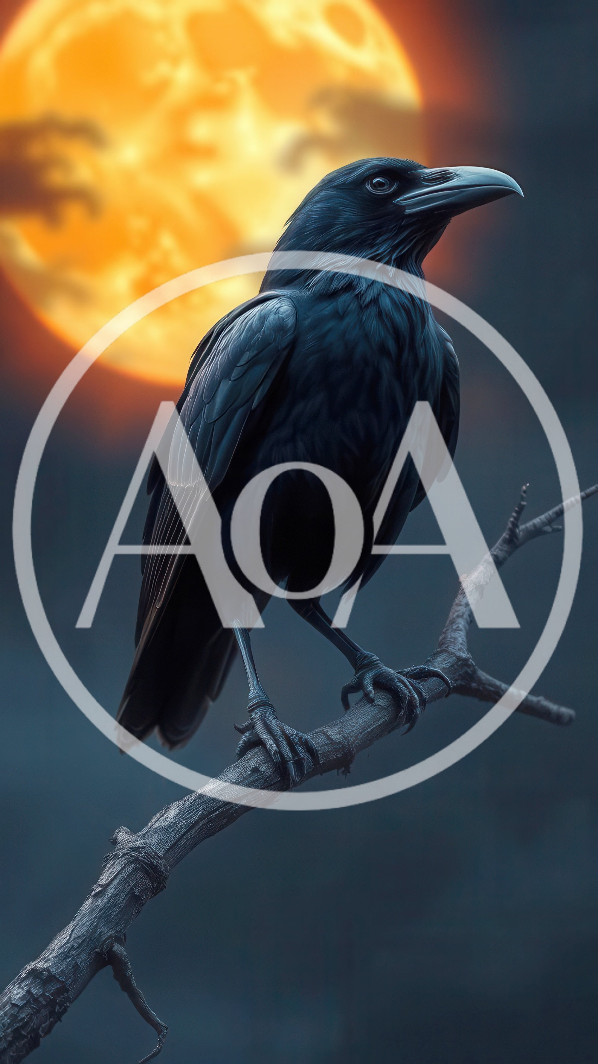 Black Raven Perched On A Branch Under Full Moon