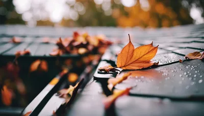 Single Orange Autumn Leaf Resting On Wet Roof Tiles