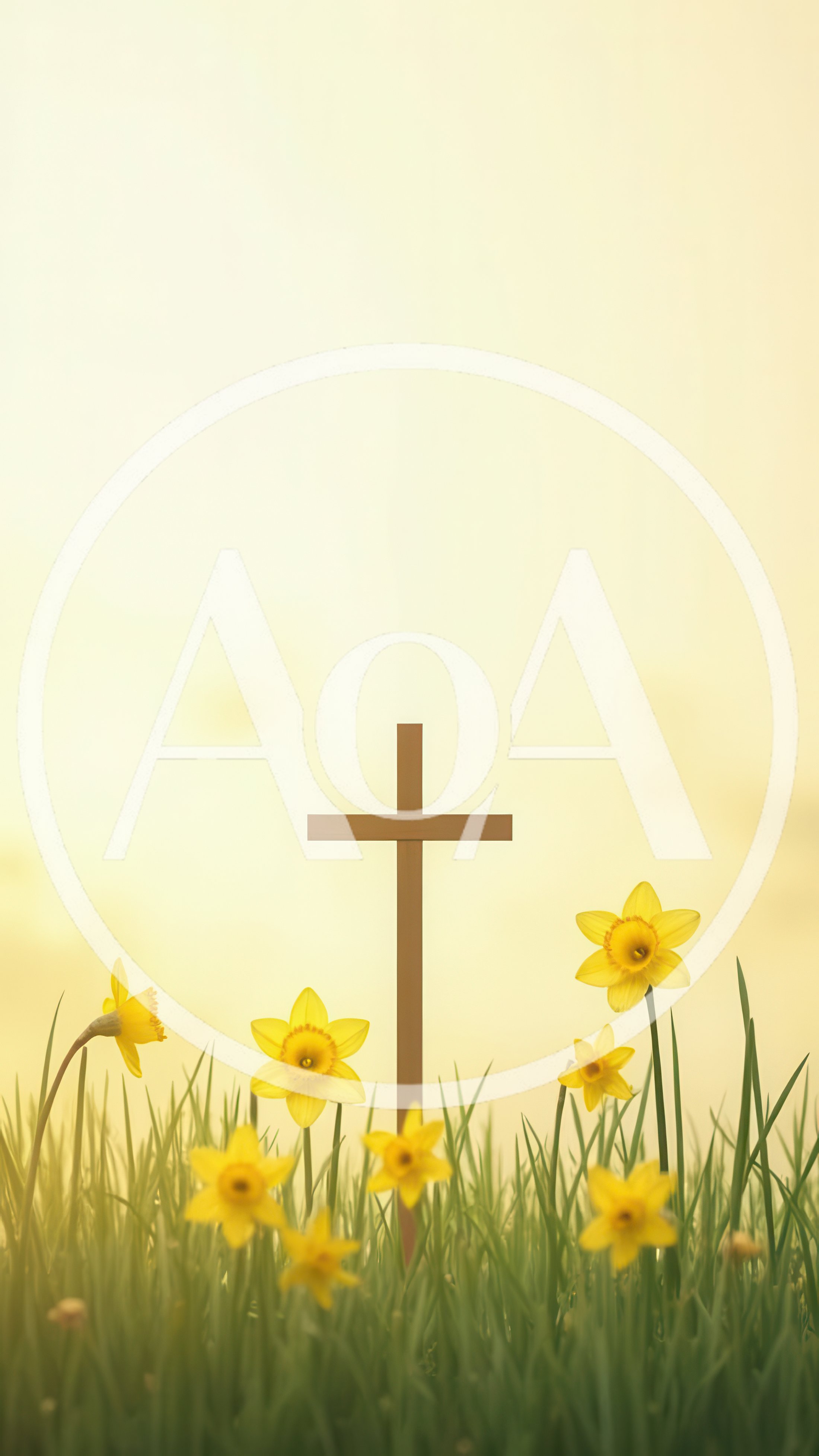 Wooden Christian Cross Standing Among Yellow Daffodils