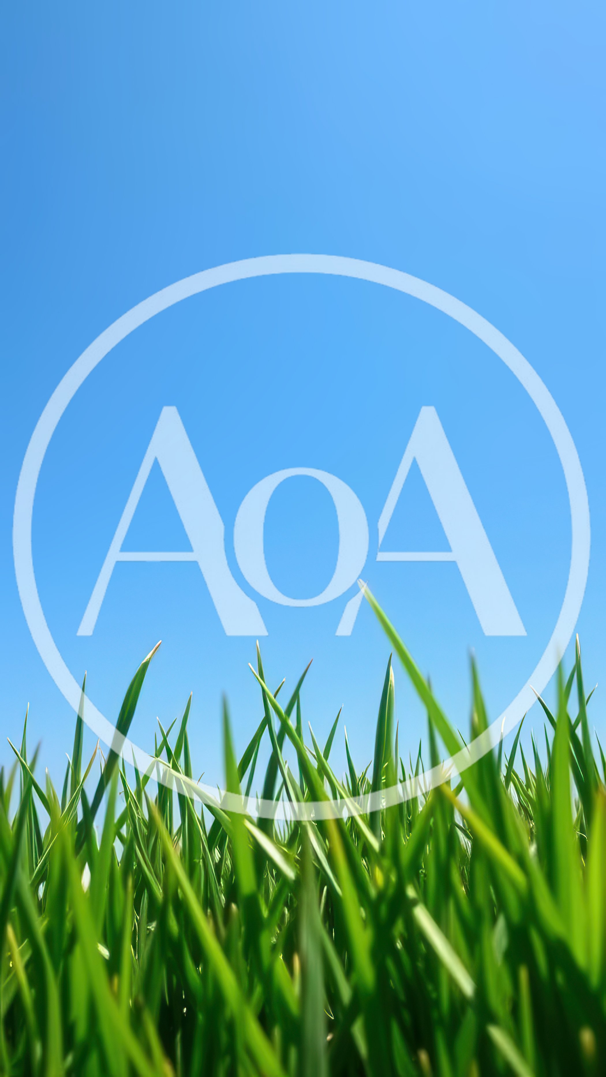Low Angle View Of Green Grass Against Blue Sky