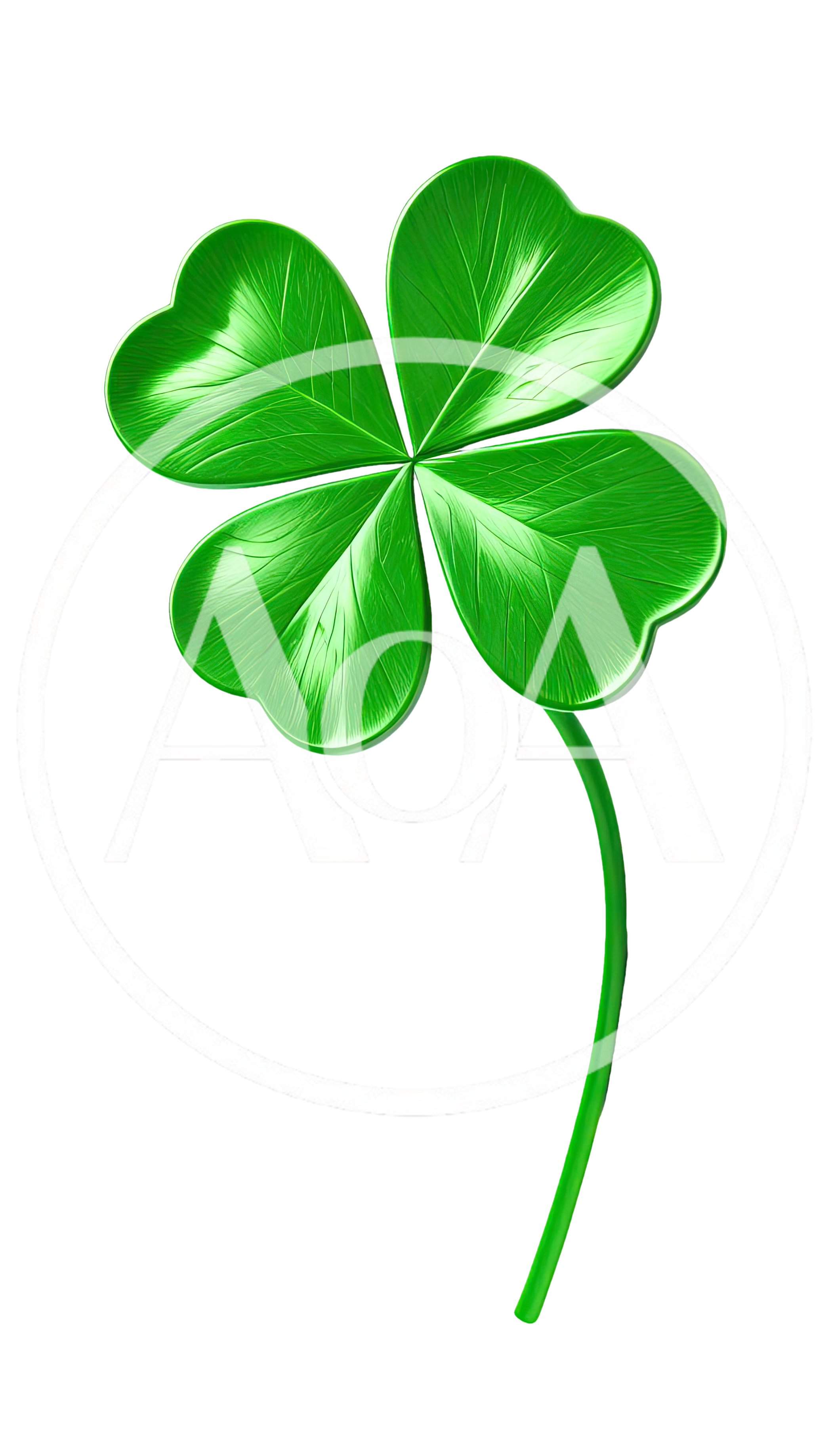 Four Leaf Clover Isolated On White Background