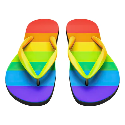 Pair Of Rainbow Pride Flag Flip Flops