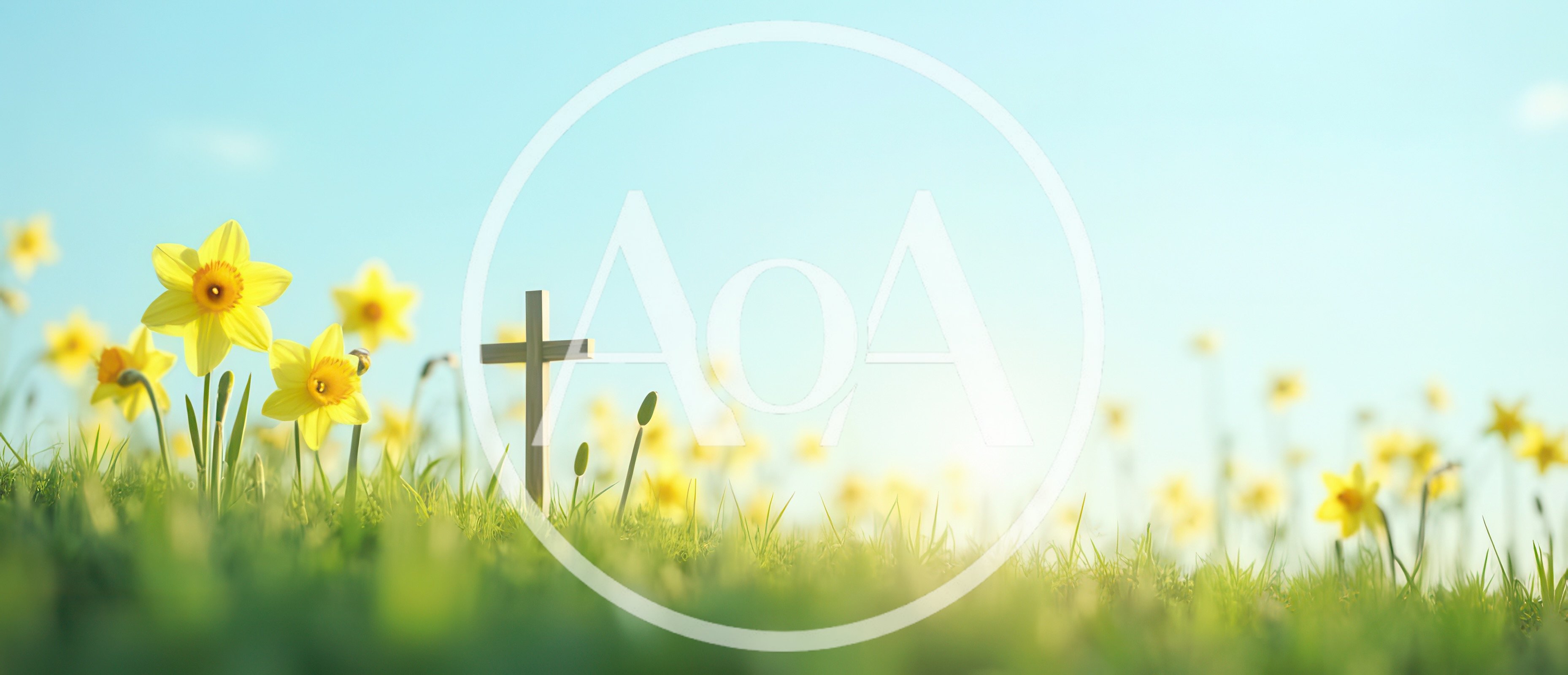 Wooden Christian Cross Standing In A Field Of Daffodils