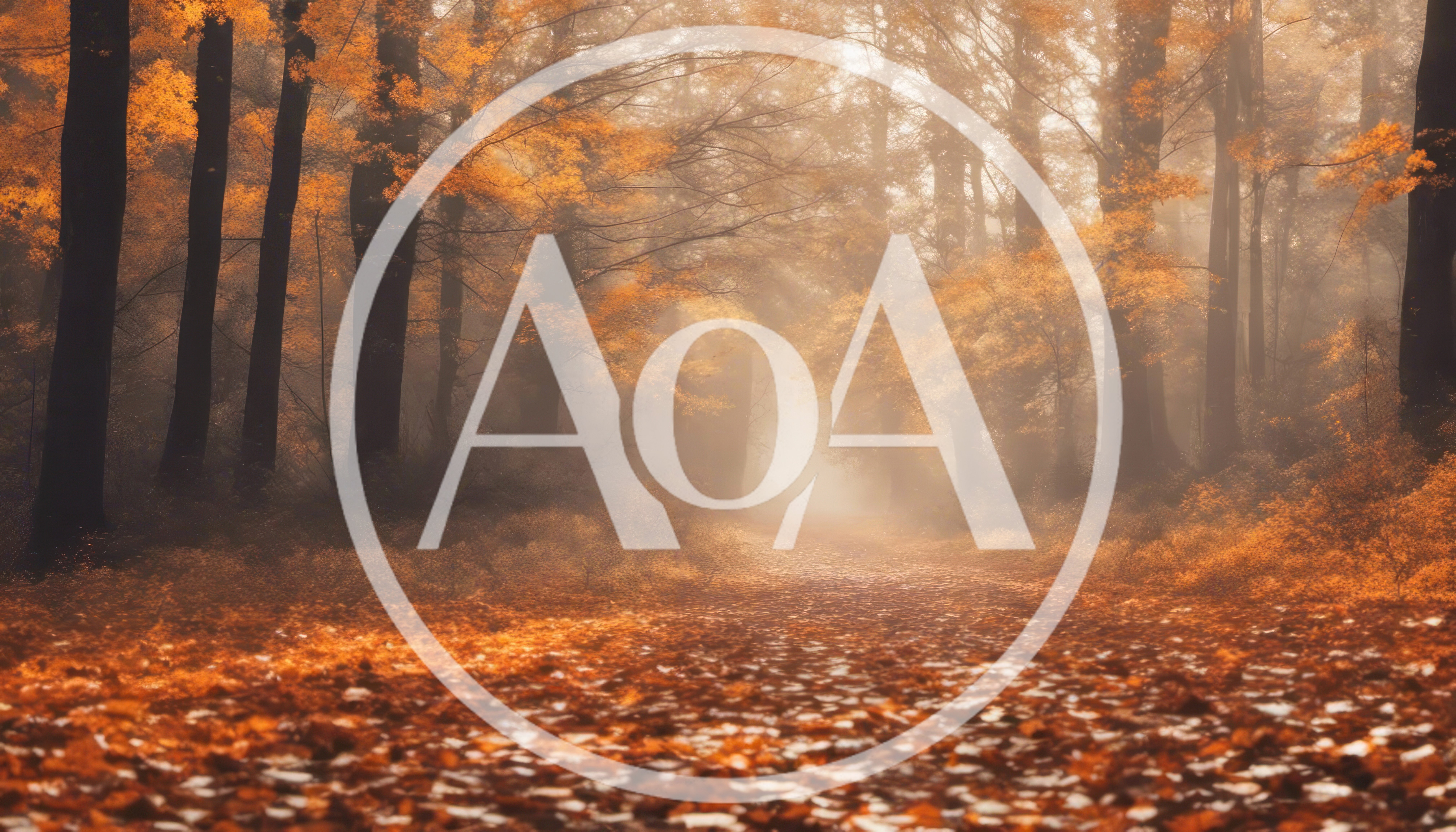 Misty Autumn Forest Path With Golden Foliage
