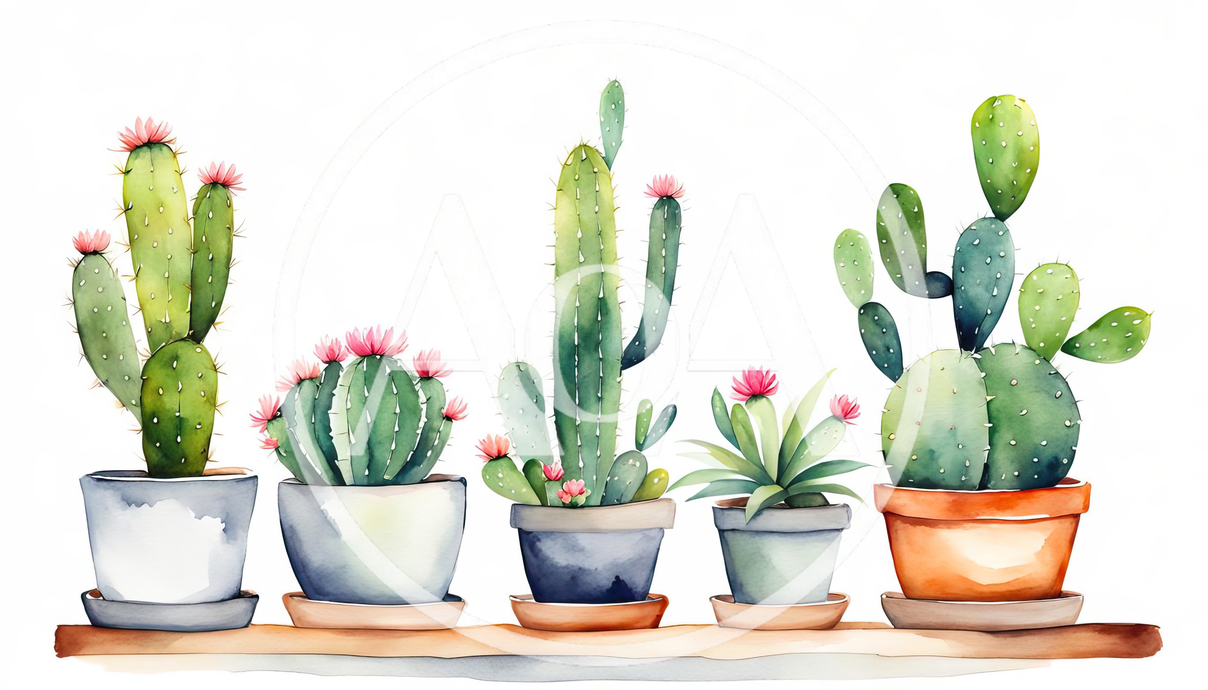 Watercolor Illustration Of Five Potted Cacti