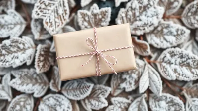 Gift Box Wrapped In Brown Paper On Frosted Leaves