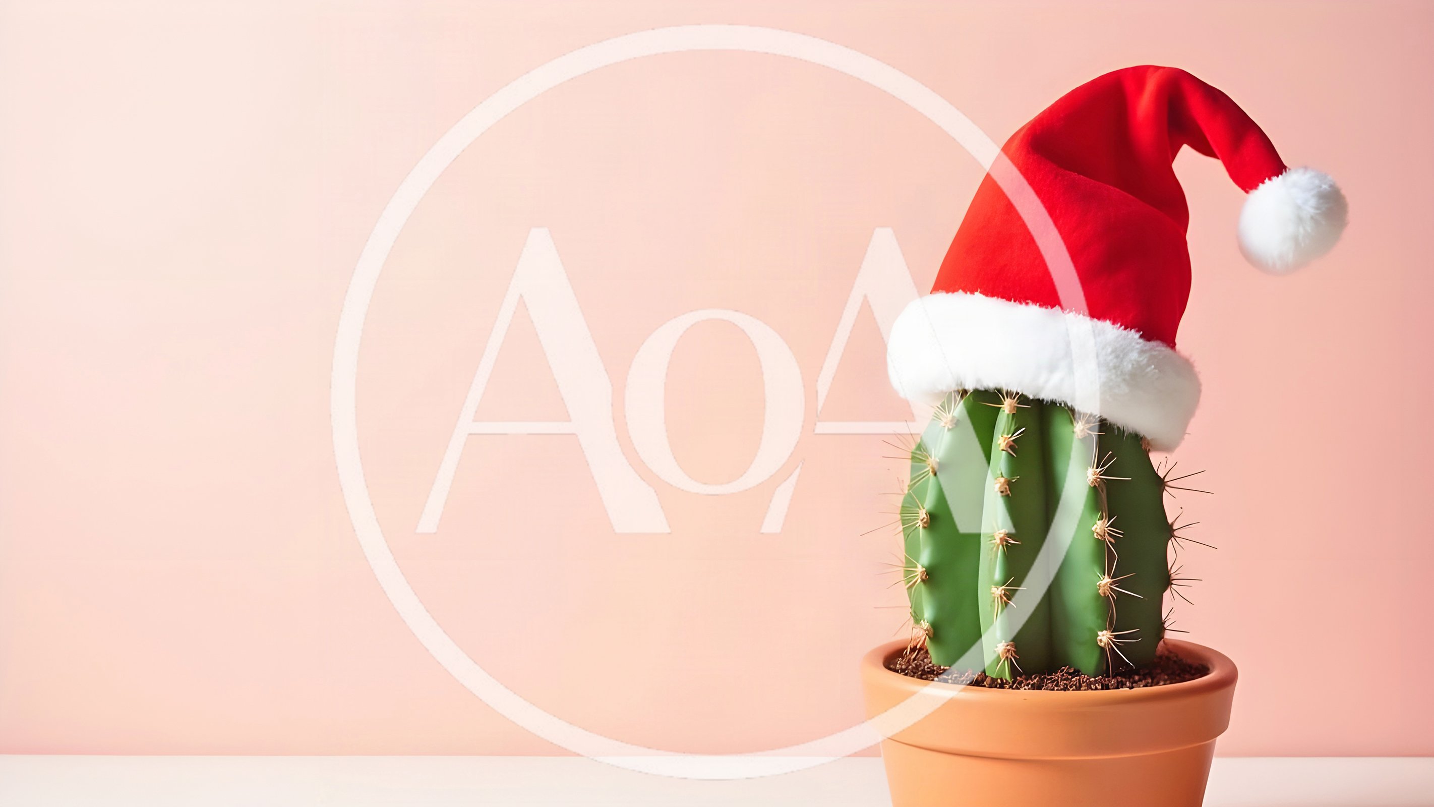 Cactus Wearing A Santa Hat In A Pot