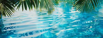 Palm Fronds Overhanging Rippling Blue Swimming Pool Water