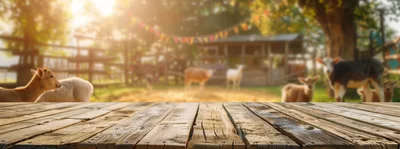 Wooden Table Surface Overlooking A Sunny Farmyard