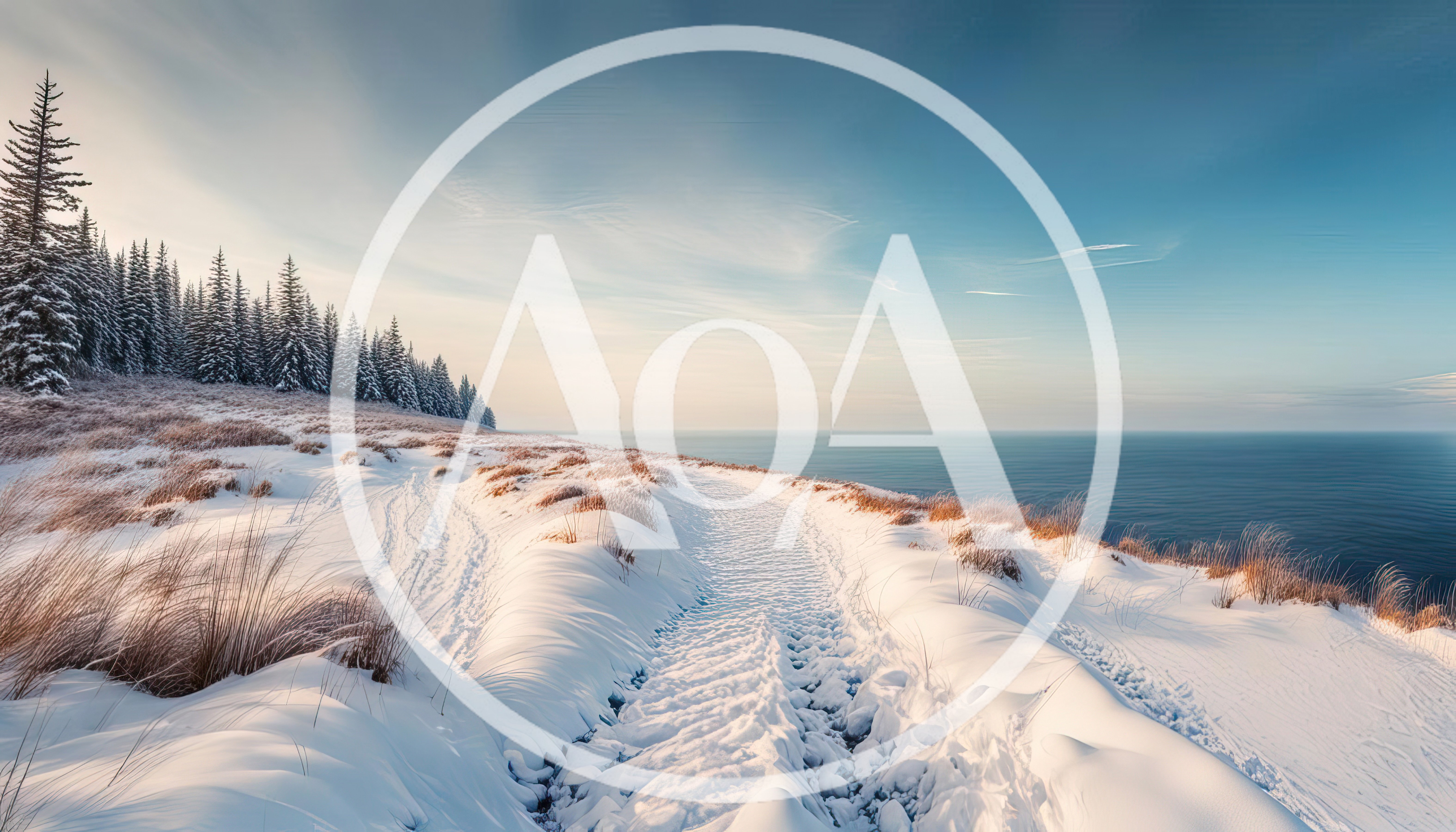 Snowy Coastal Path Along A Winter Forest